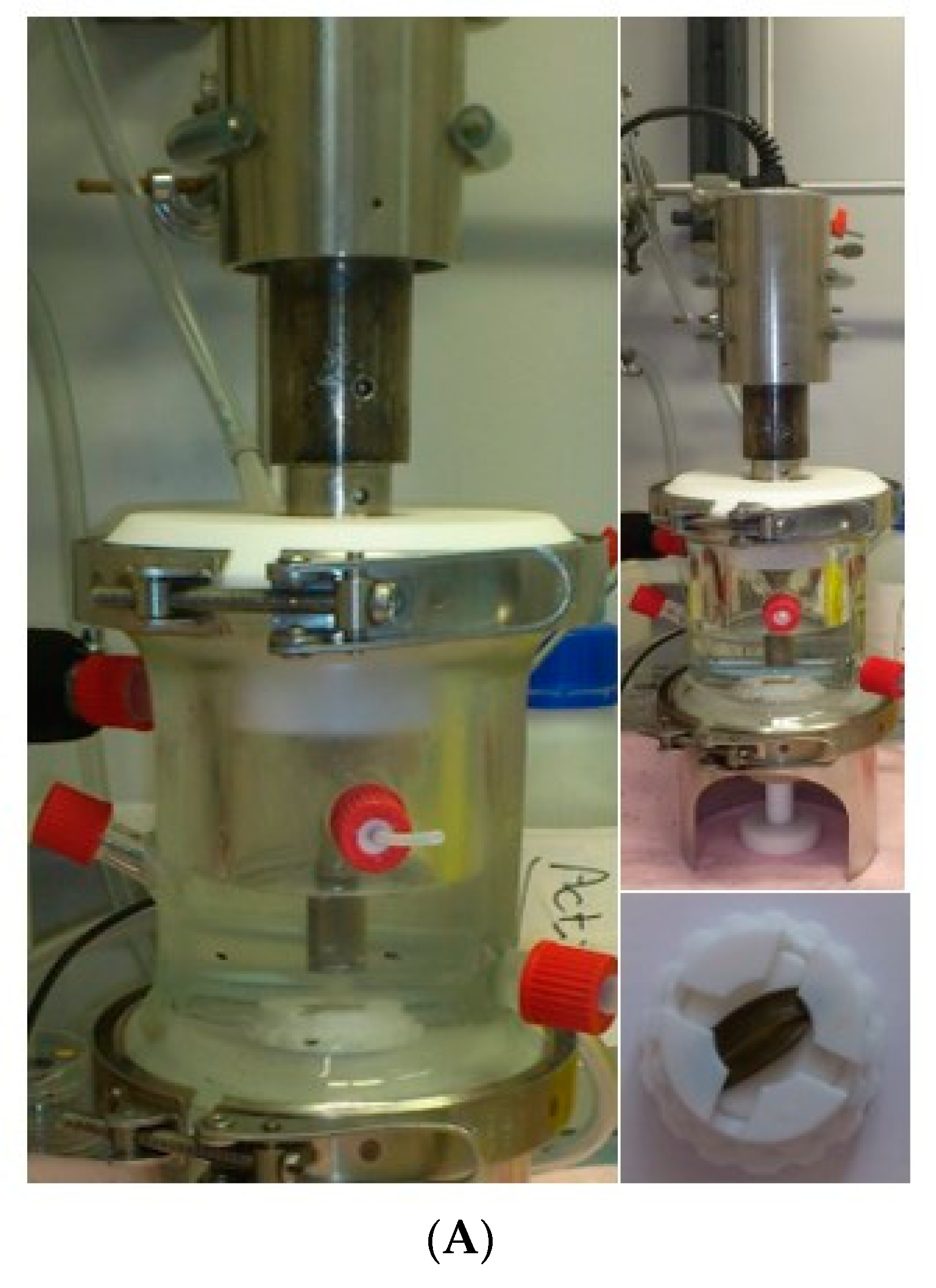 Applsci 11 00232 g001a