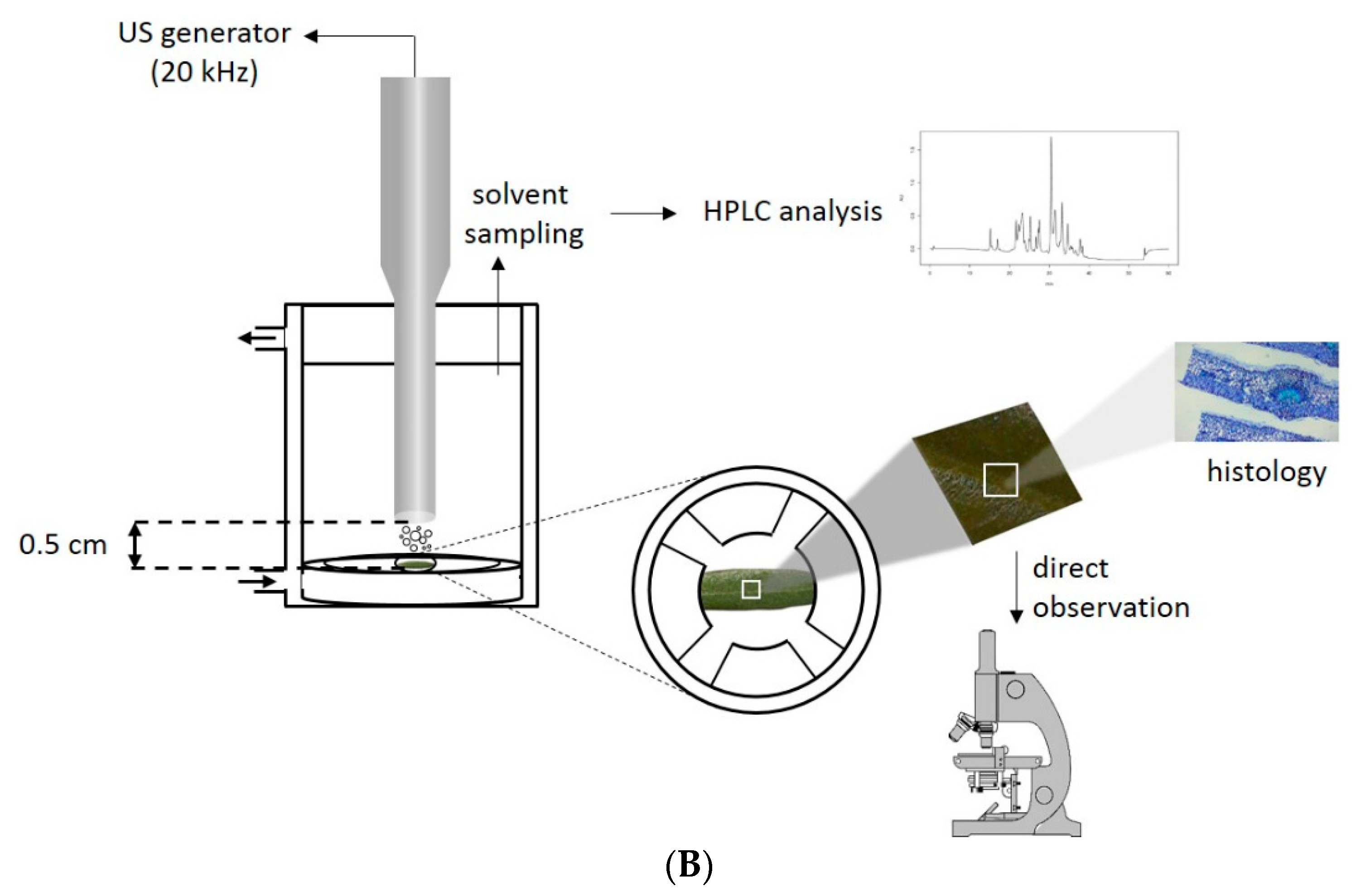 Applsci 11 00232 g001b