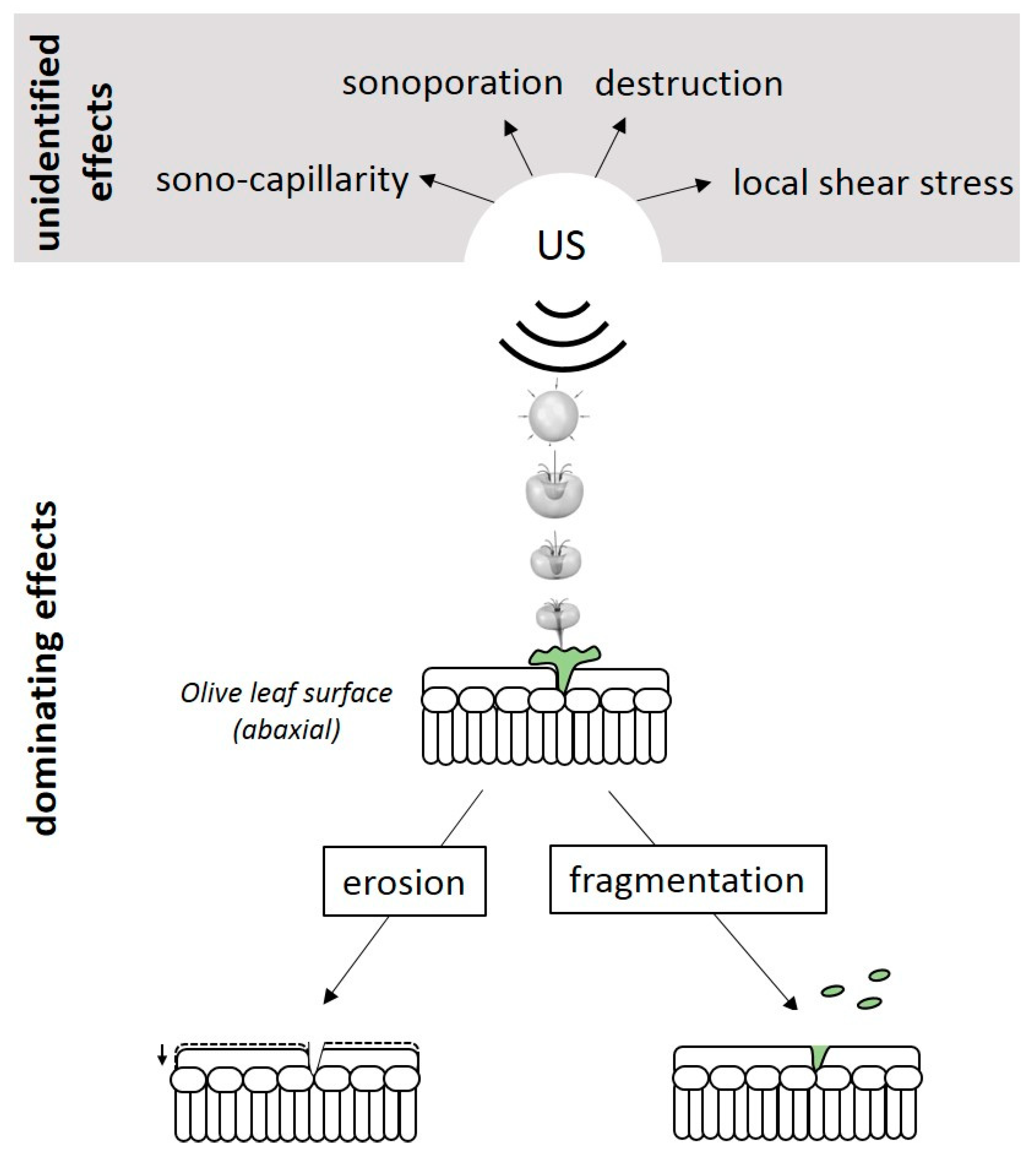Applsci 11 00232 g004