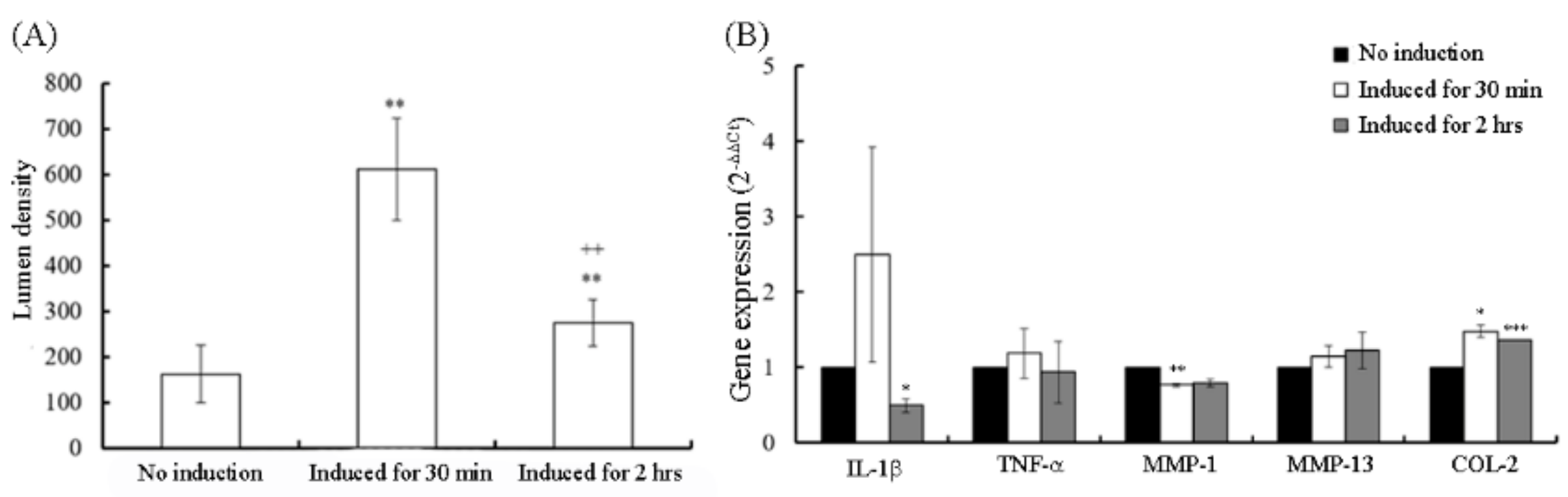 Applsci 11 00239 g001