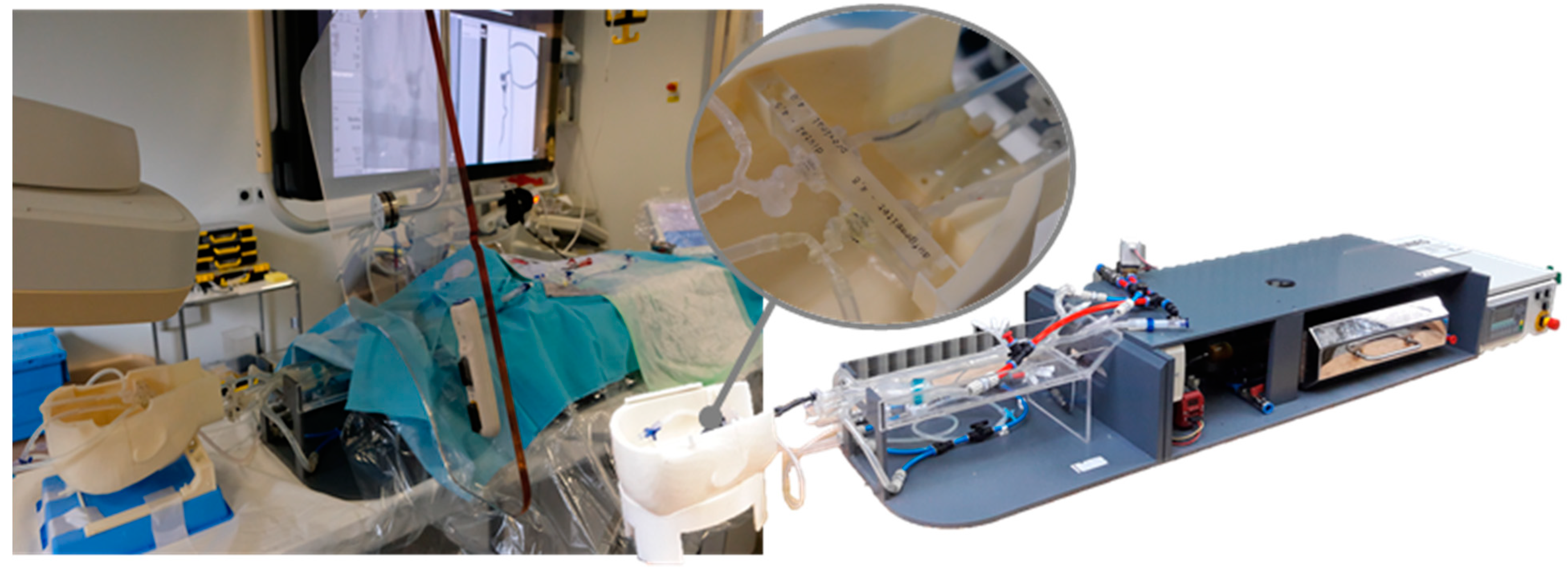 Applsci 11 00241 g004