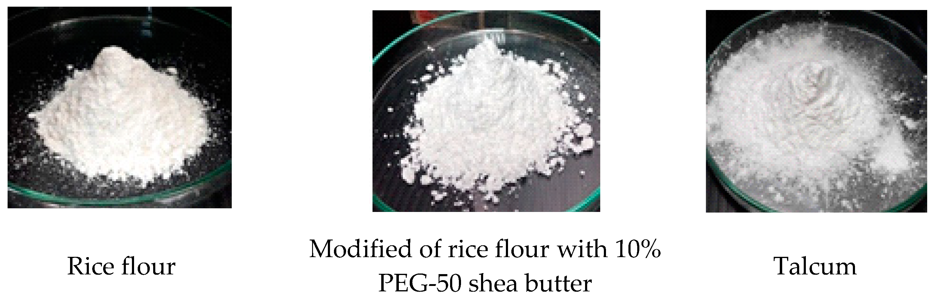 Applsci 11 00248 g001