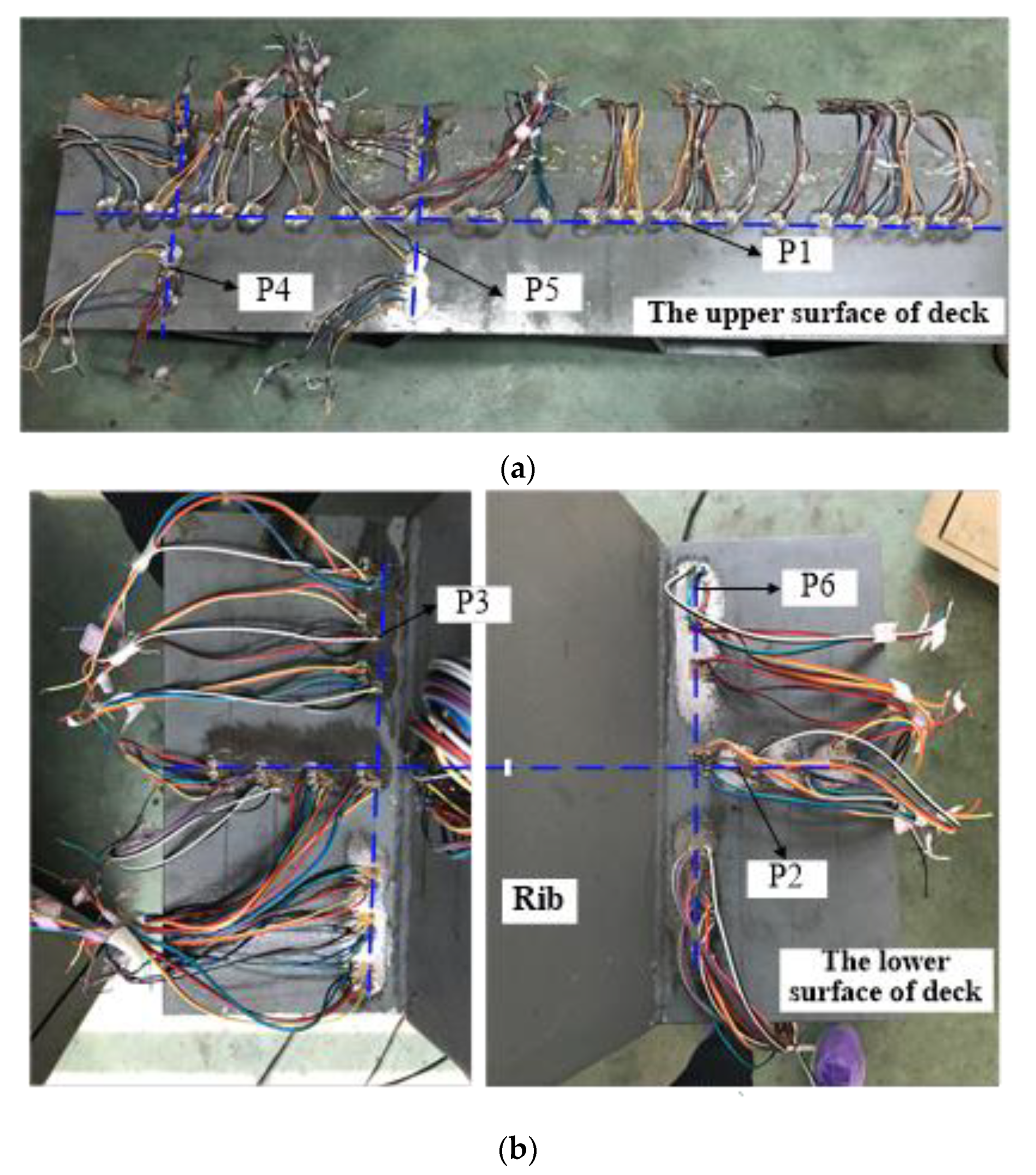 Applsci 11 00253 g005