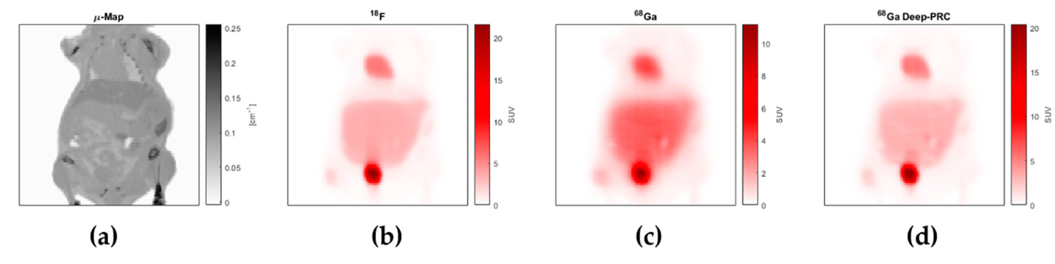 Applsci 11 00266 g006 Applsci 11 00266 g006