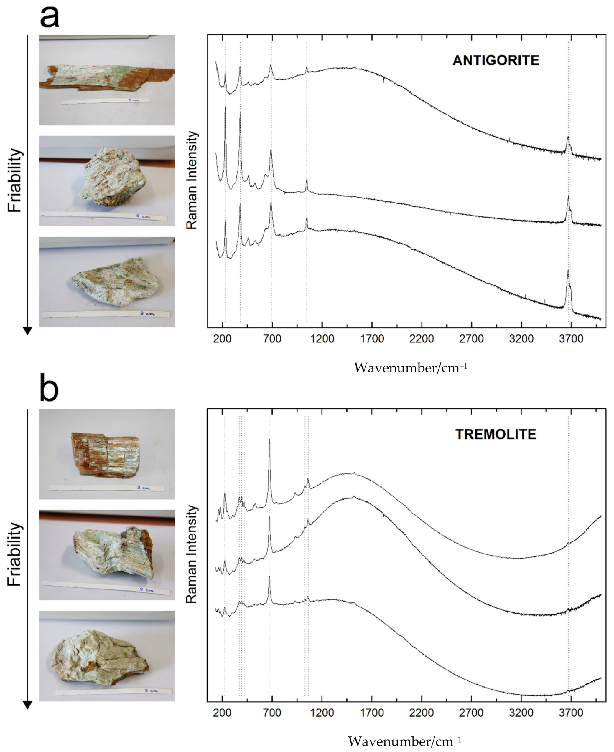 Applsci 11 00287 g003