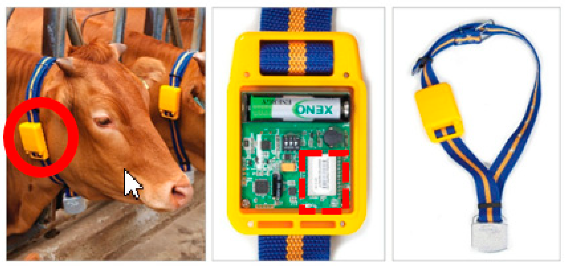 Applsci 11 00298 g001