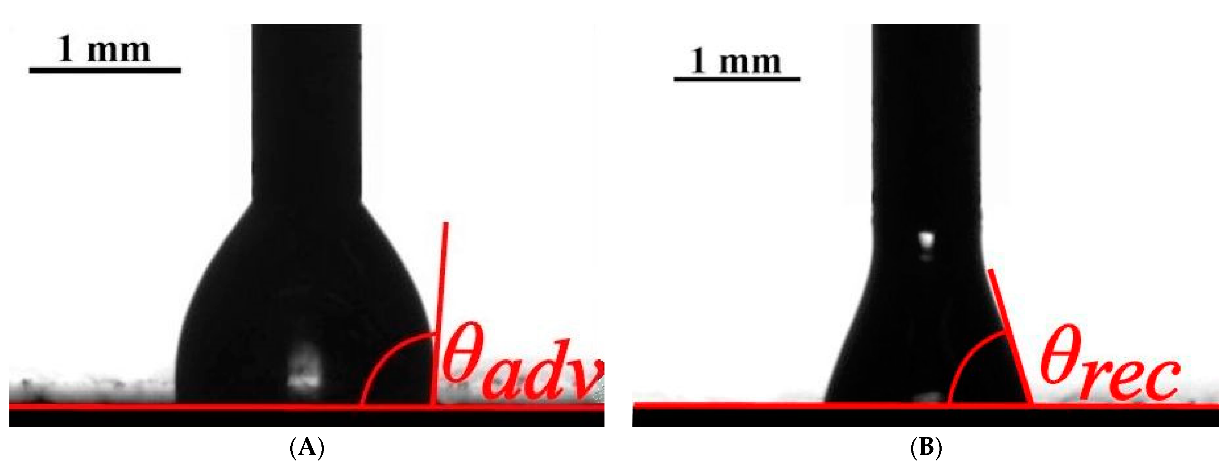 Applsci 11 00300 g003 Applsci 11 00300 g003