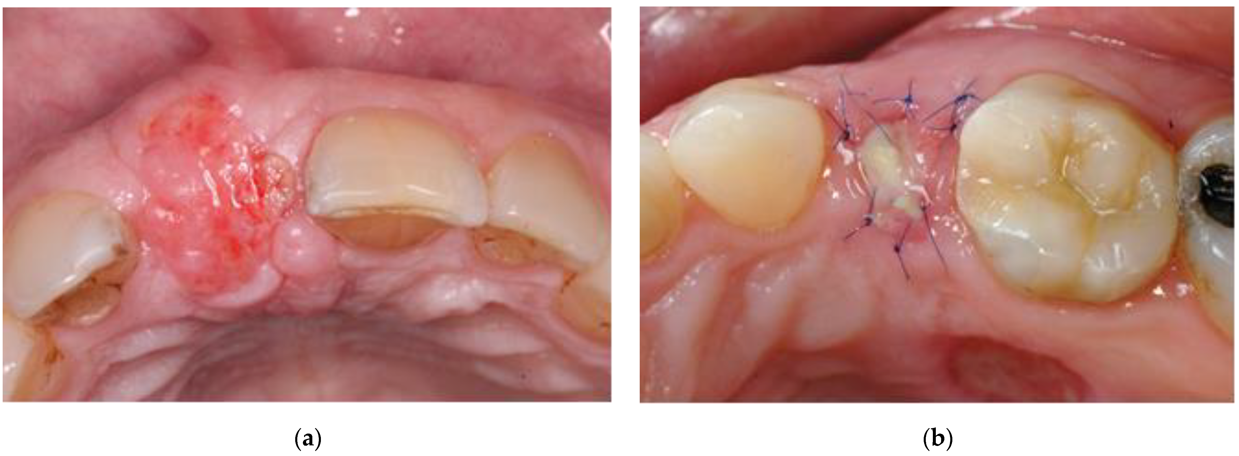 Applsci 11 00324 g002