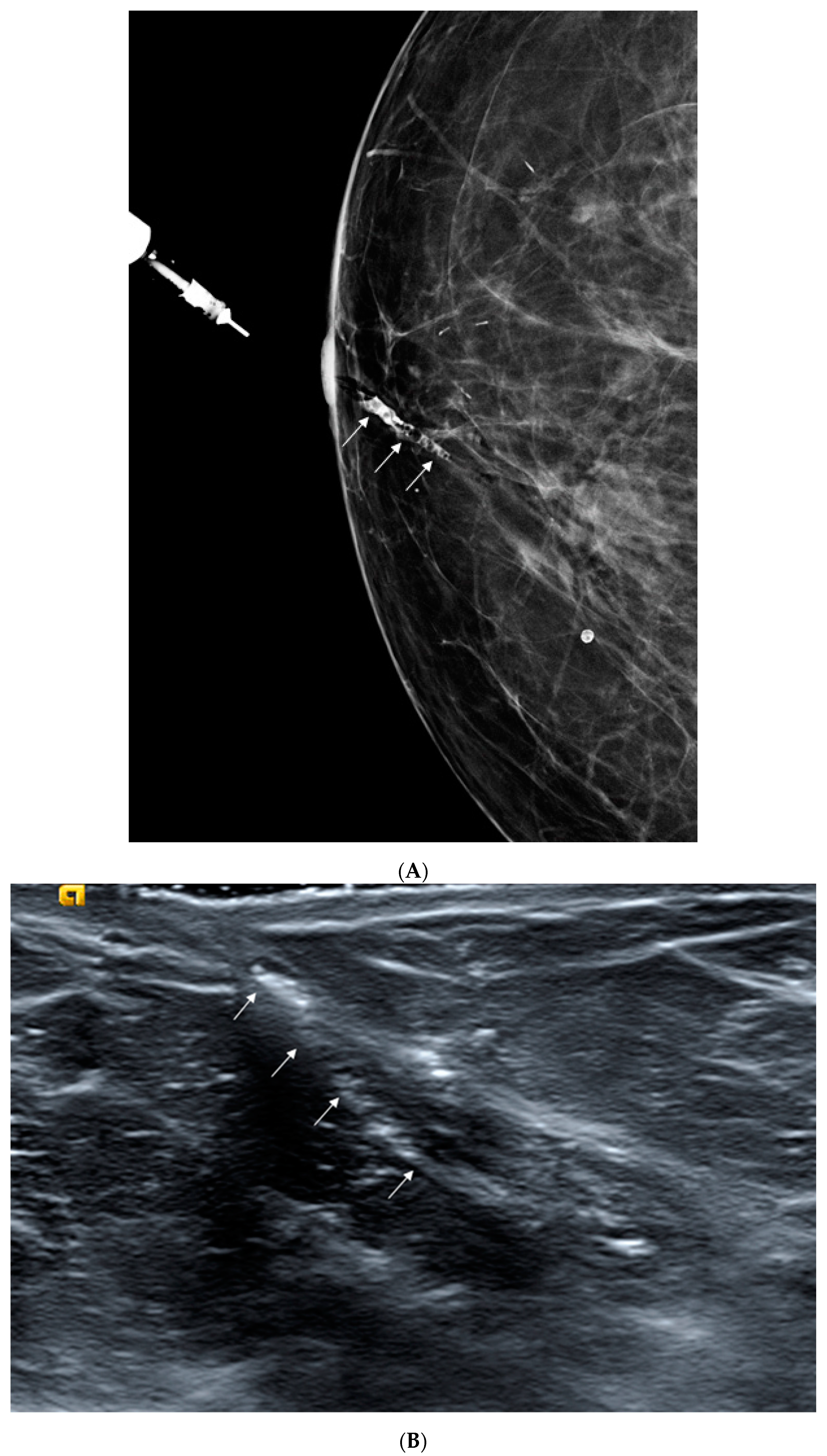 Applsci 11 00327 g004 Applsci 11 00327 g004