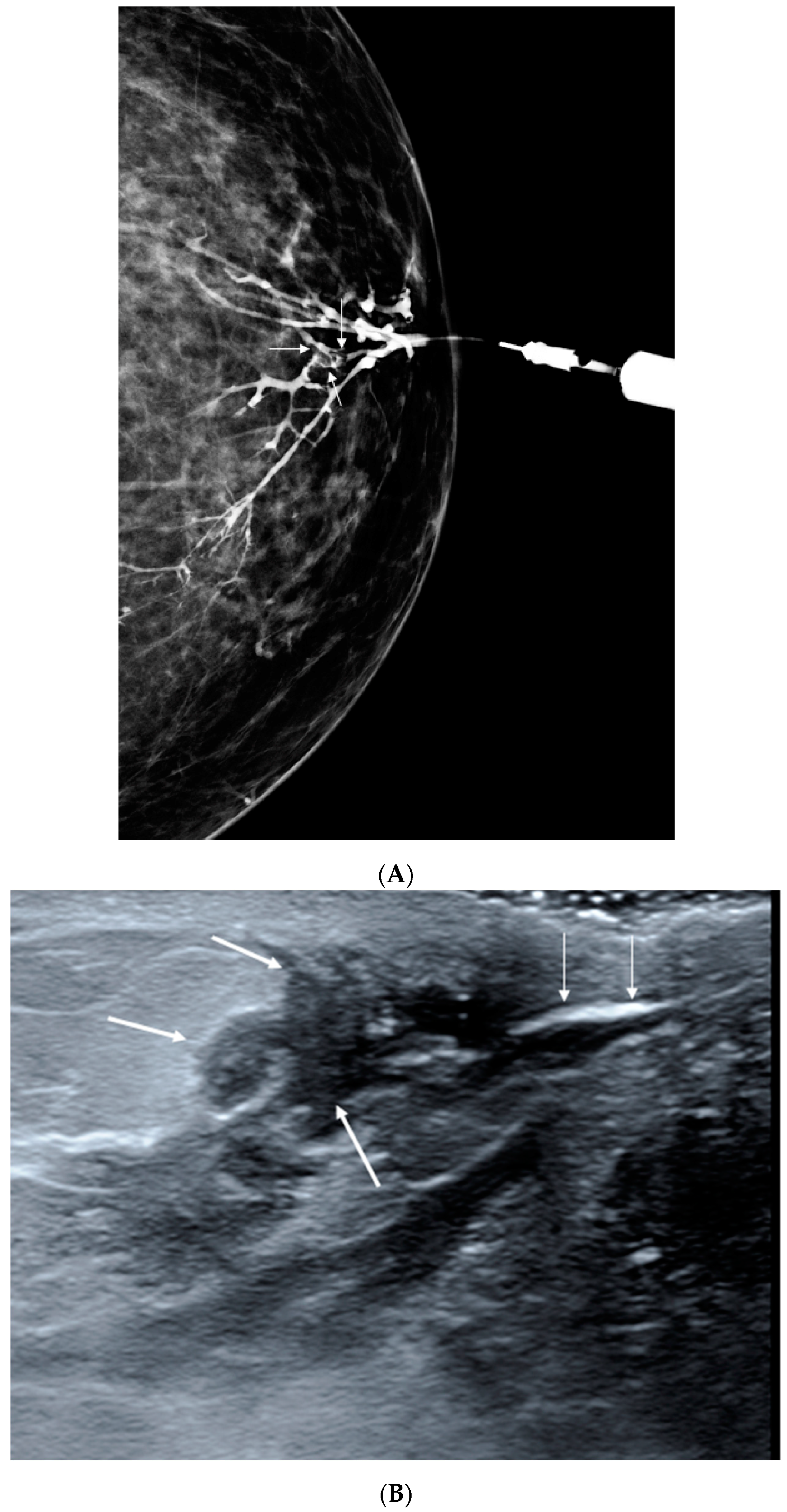 Applsci 11 00327 g005 Applsci 11 00327 g005