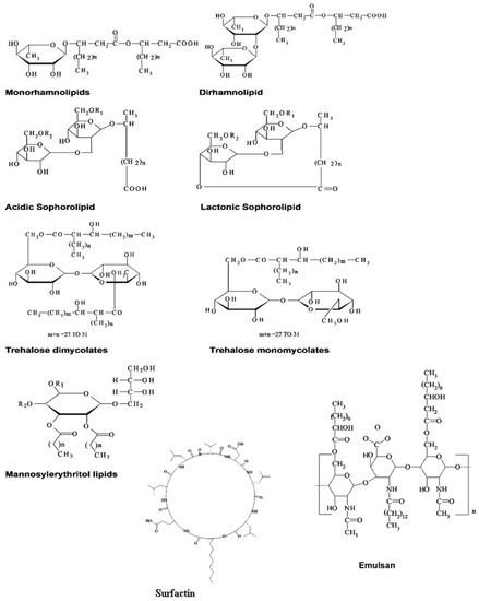 Applsci 11 00334 g001 550