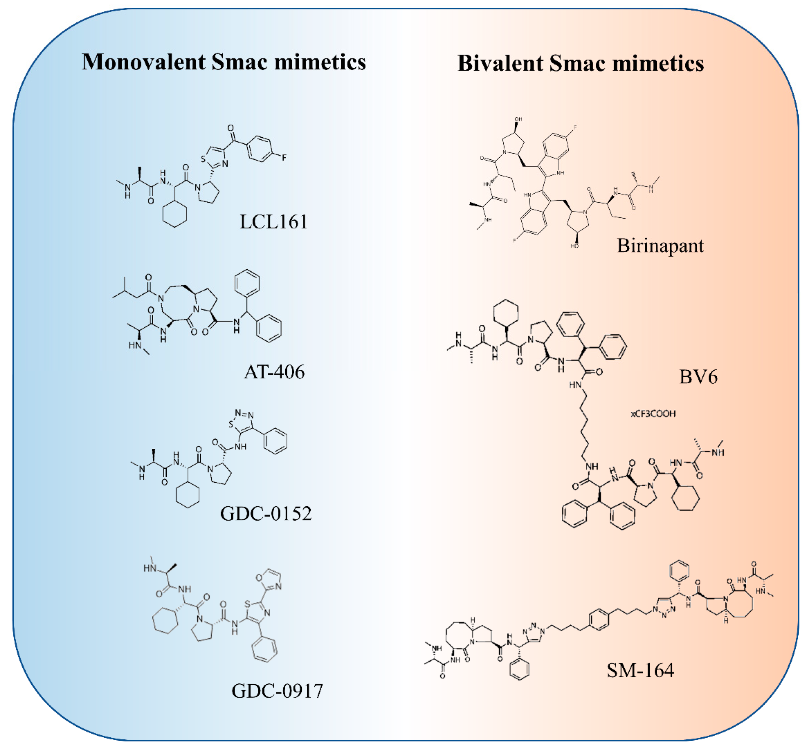 Applsci 11 00335 g002 Applsci 11 00335 g002