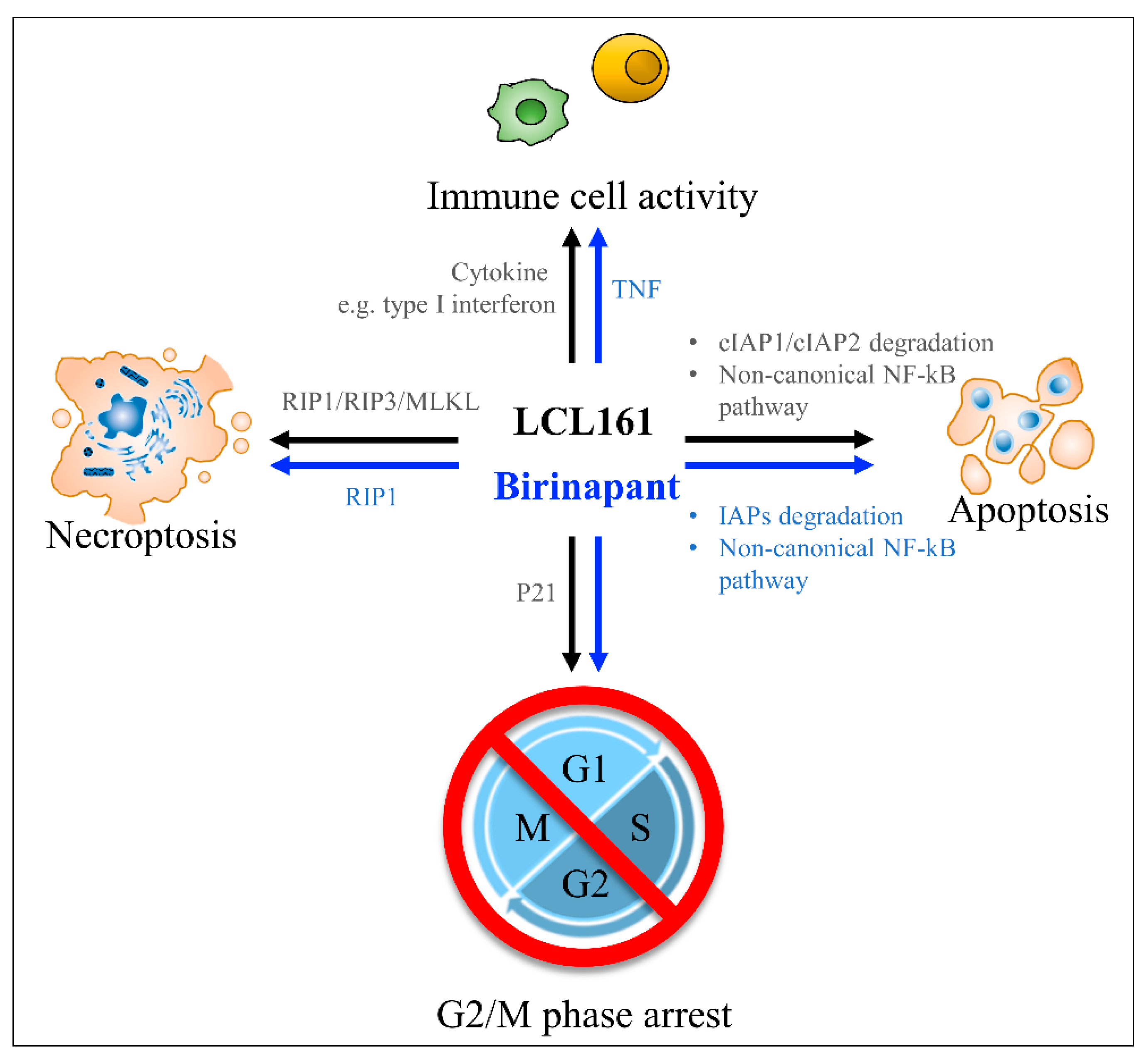 Applsci 11 00335 g003 Applsci 11 00335 g003