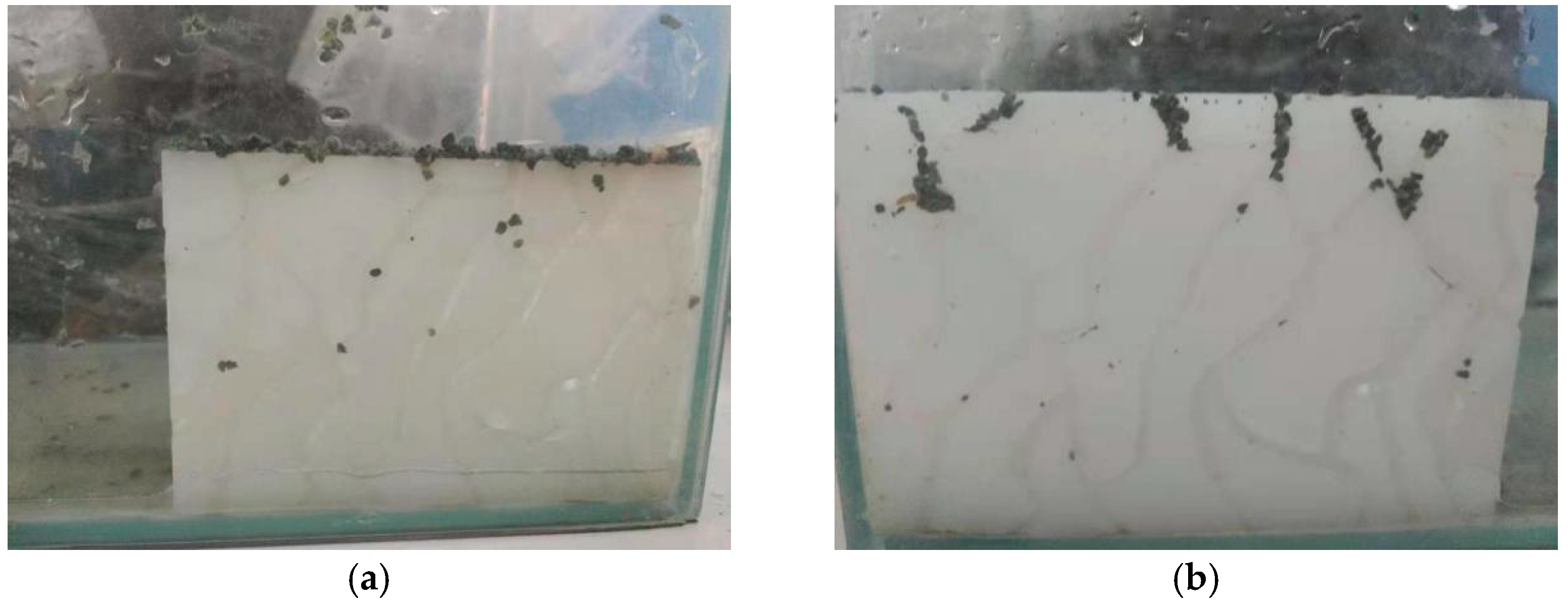 Applsci 11 00349 g007a Applsci 11 00349 g007a