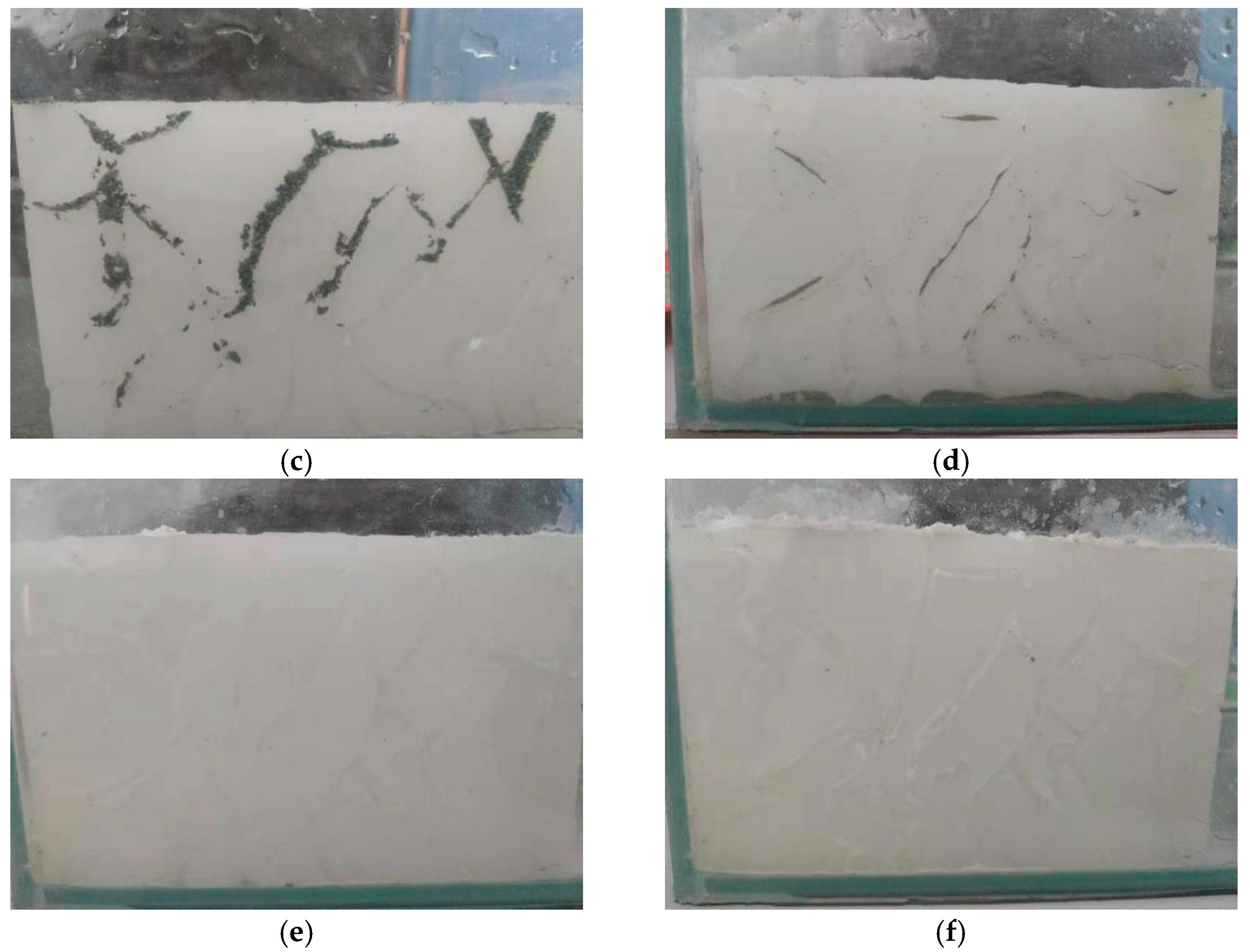 Applsci 11 00349 g007b Applsci 11 00349 g007b