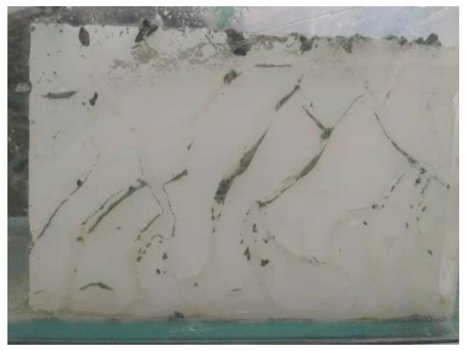 Applsci 11 00349 g008 Applsci 11 00349 g008