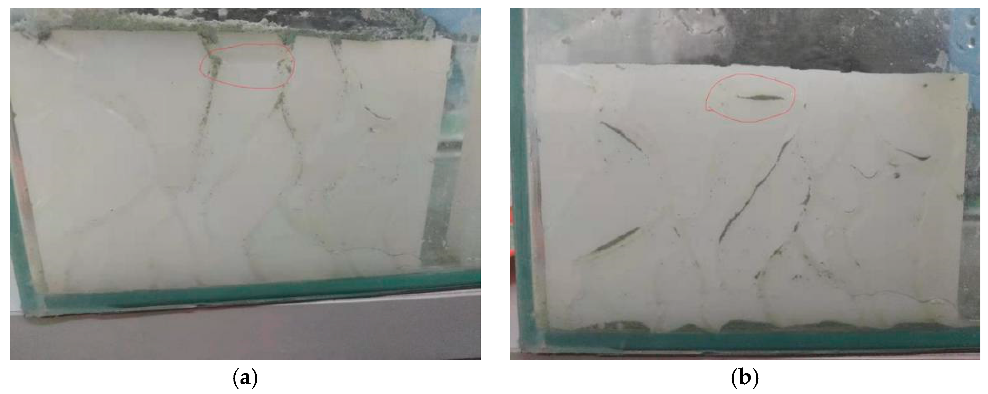 Applsci 11 00349 g009 Applsci 11 00349 g009