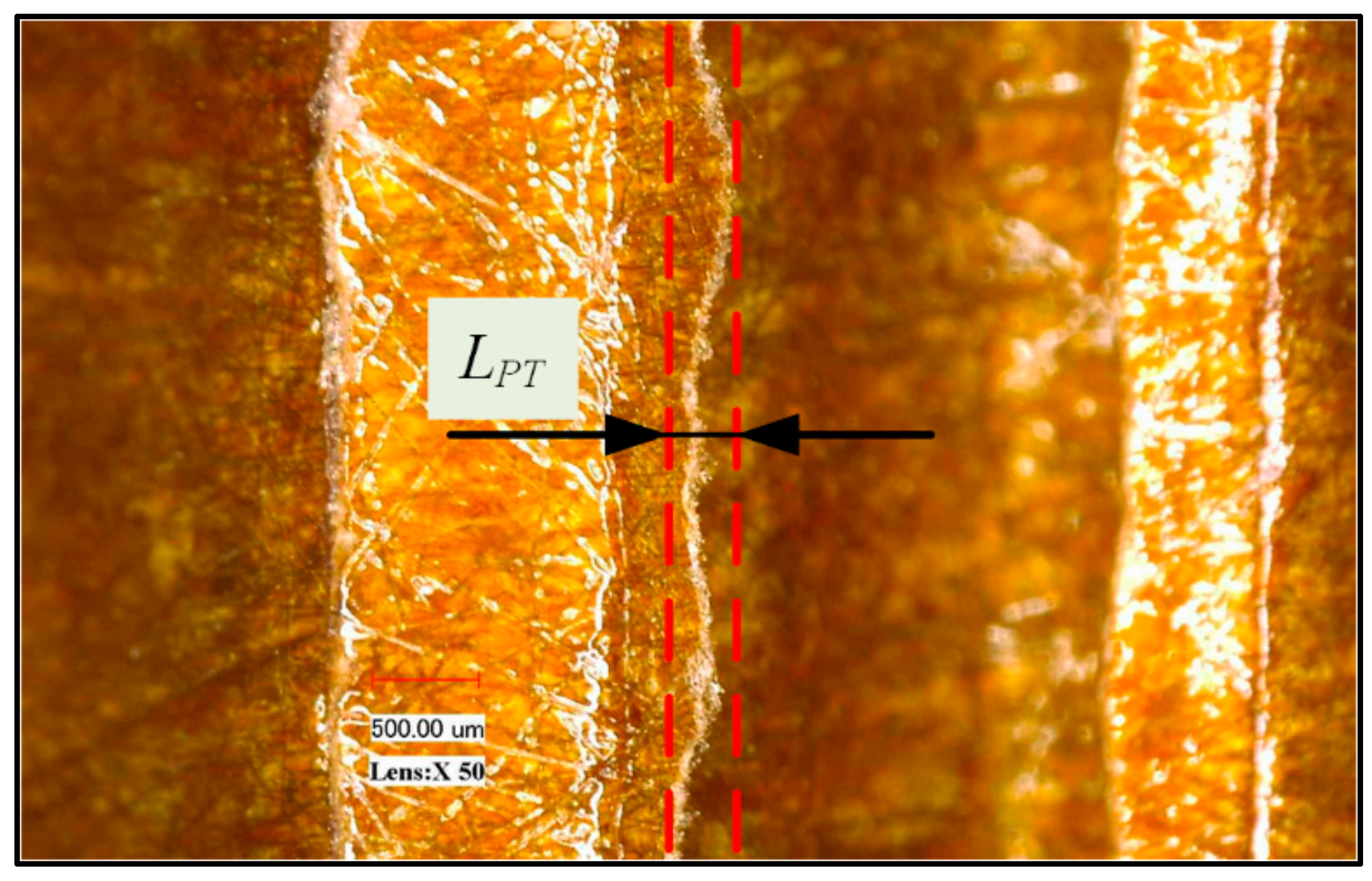 Applsci 11 00354 g022