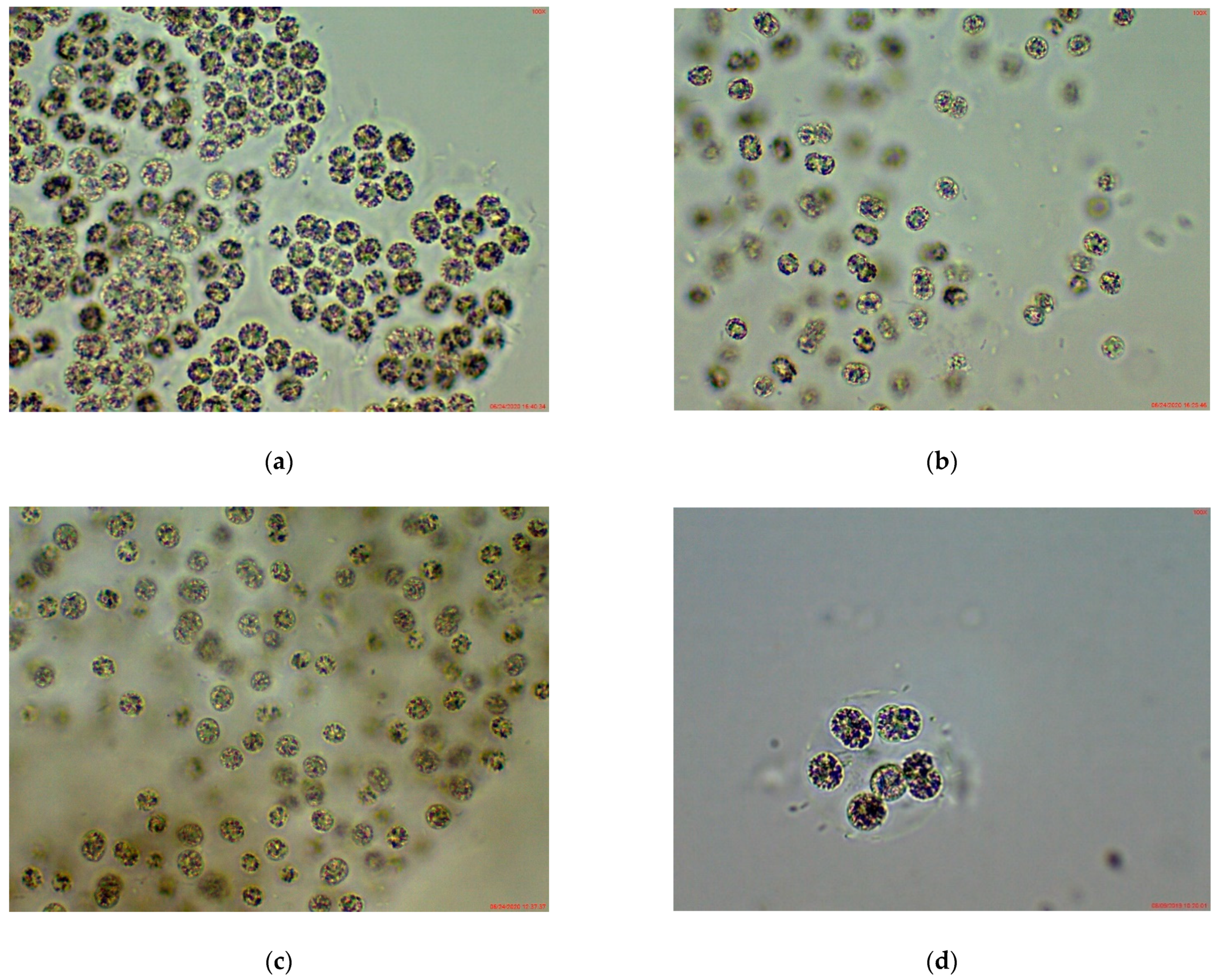 Applsci 11 00357 g005a Applsci 11 00357 g005a