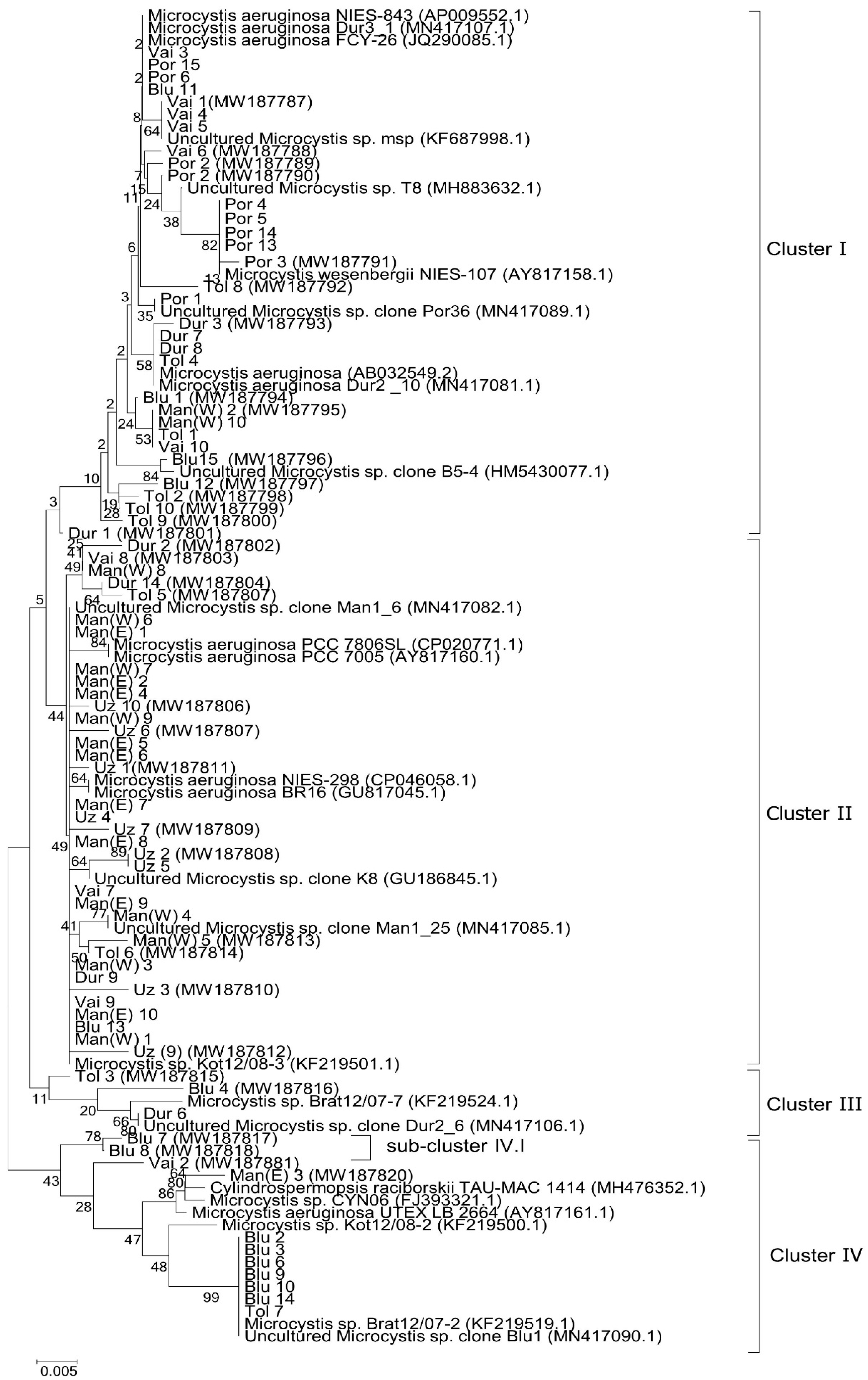 Applsci 11 00357 g007 Applsci 11 00357 g007