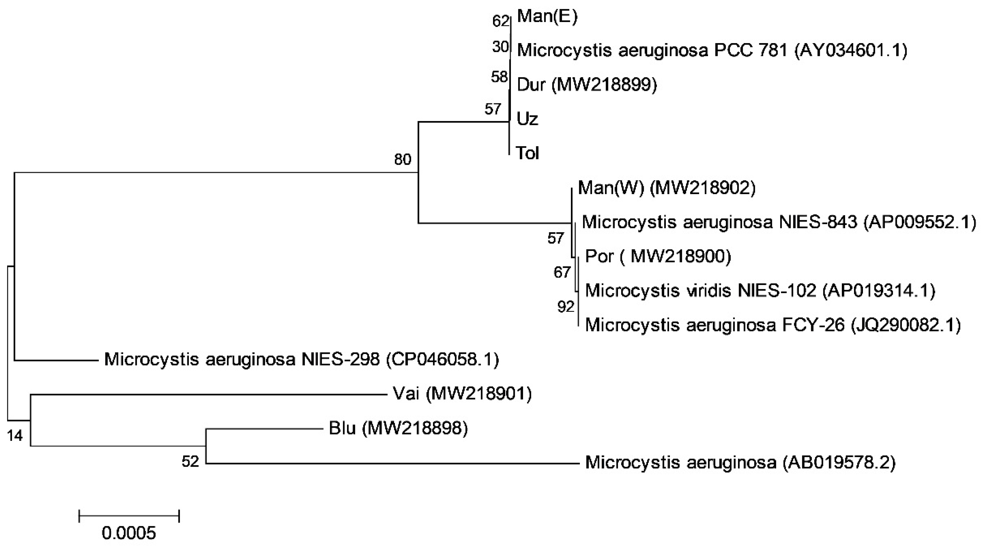 Applsci 11 00357 g008 Applsci 11 00357 g008