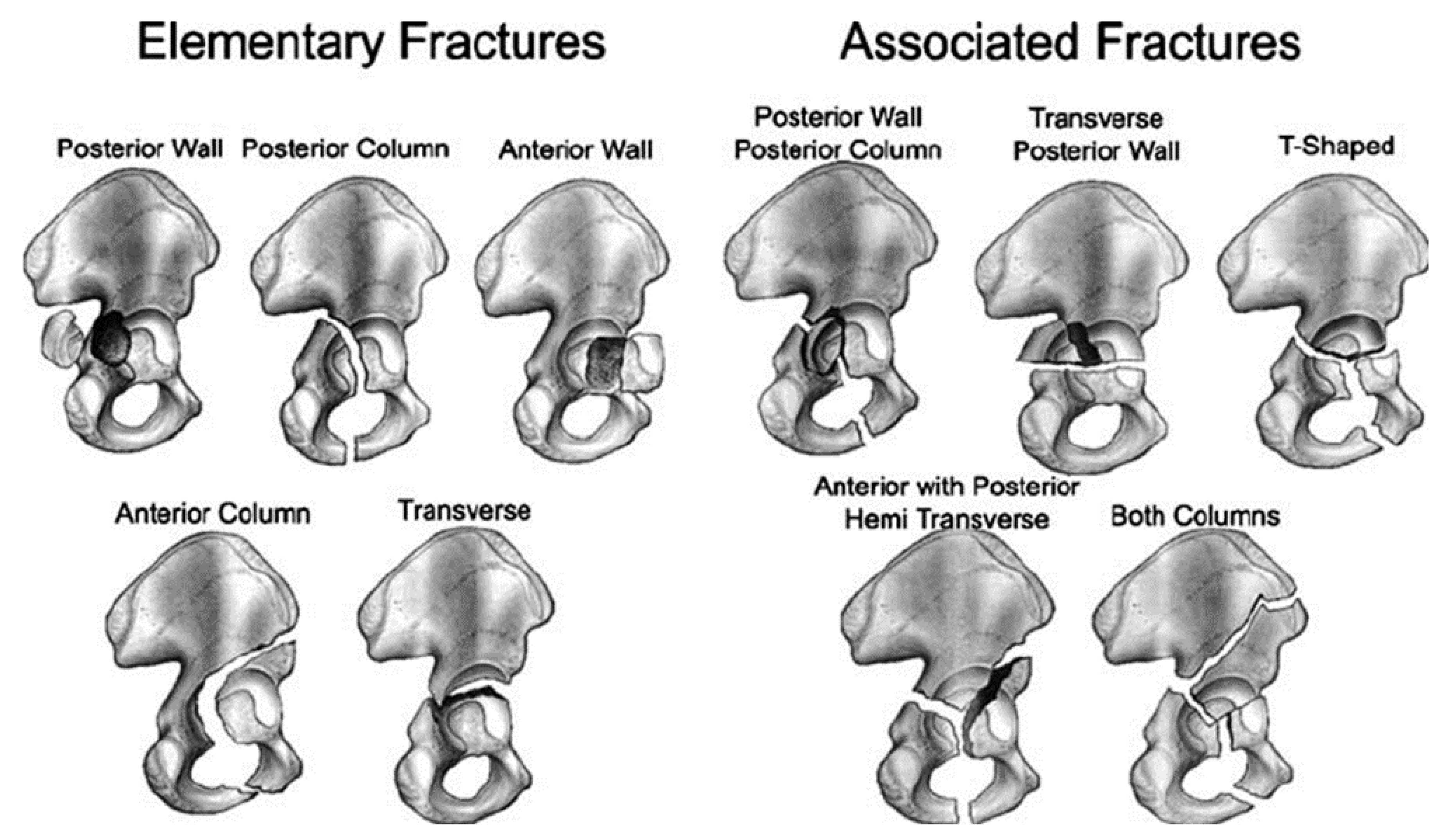 Applsci 11 00365 g0a5 Applsci 11 00365 g0a5