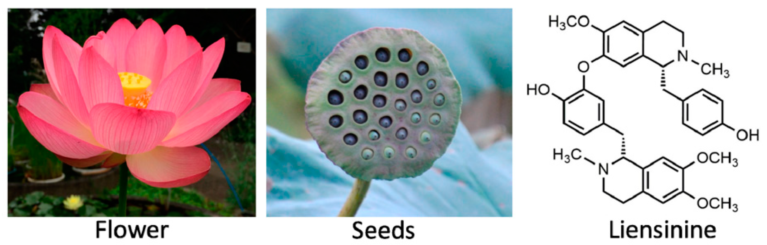 Applsci 11 00386 g001 Applsci 11 00386 g001