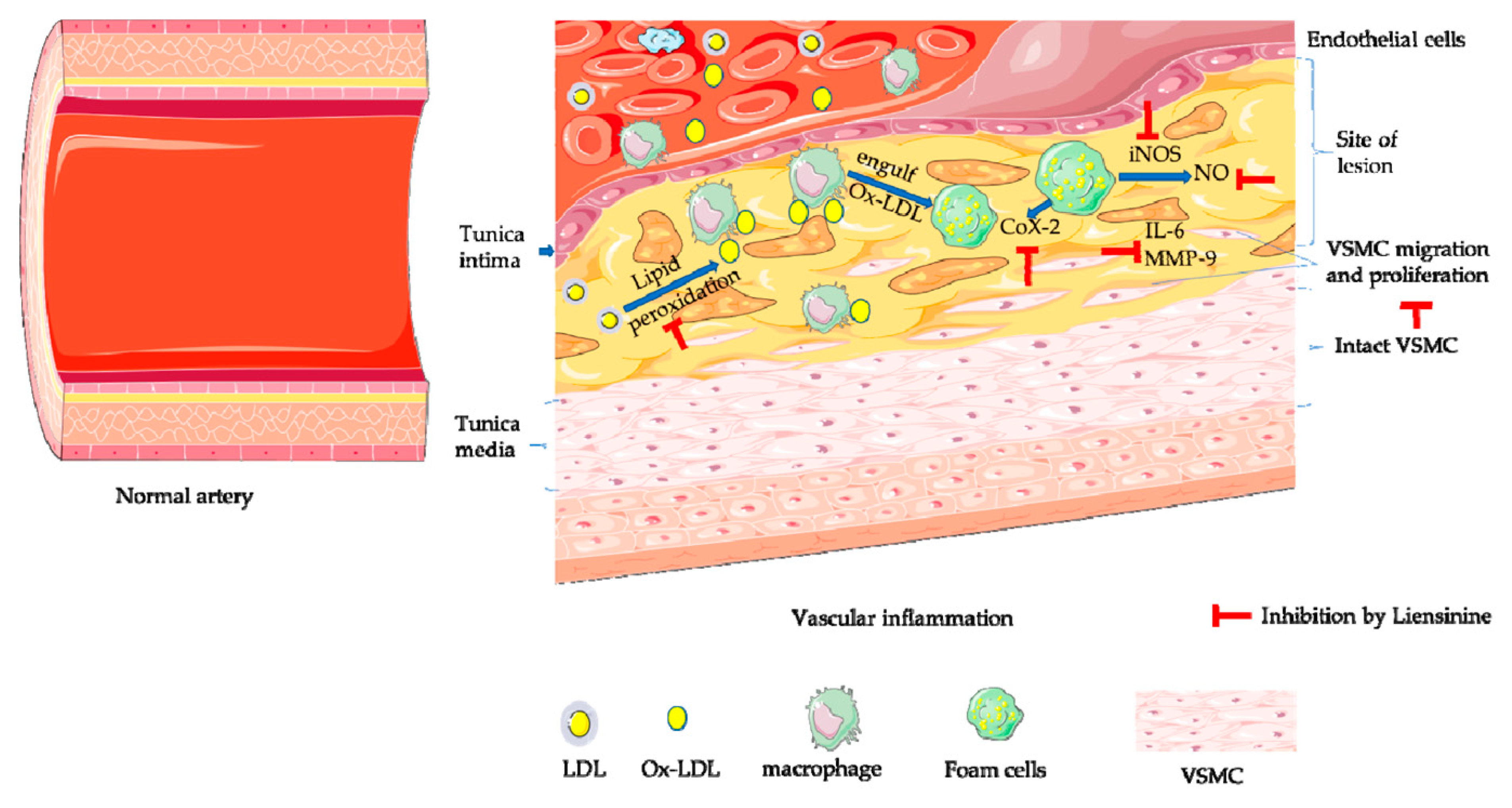 Applsci 11 00386 g007 Applsci 11 00386 g007