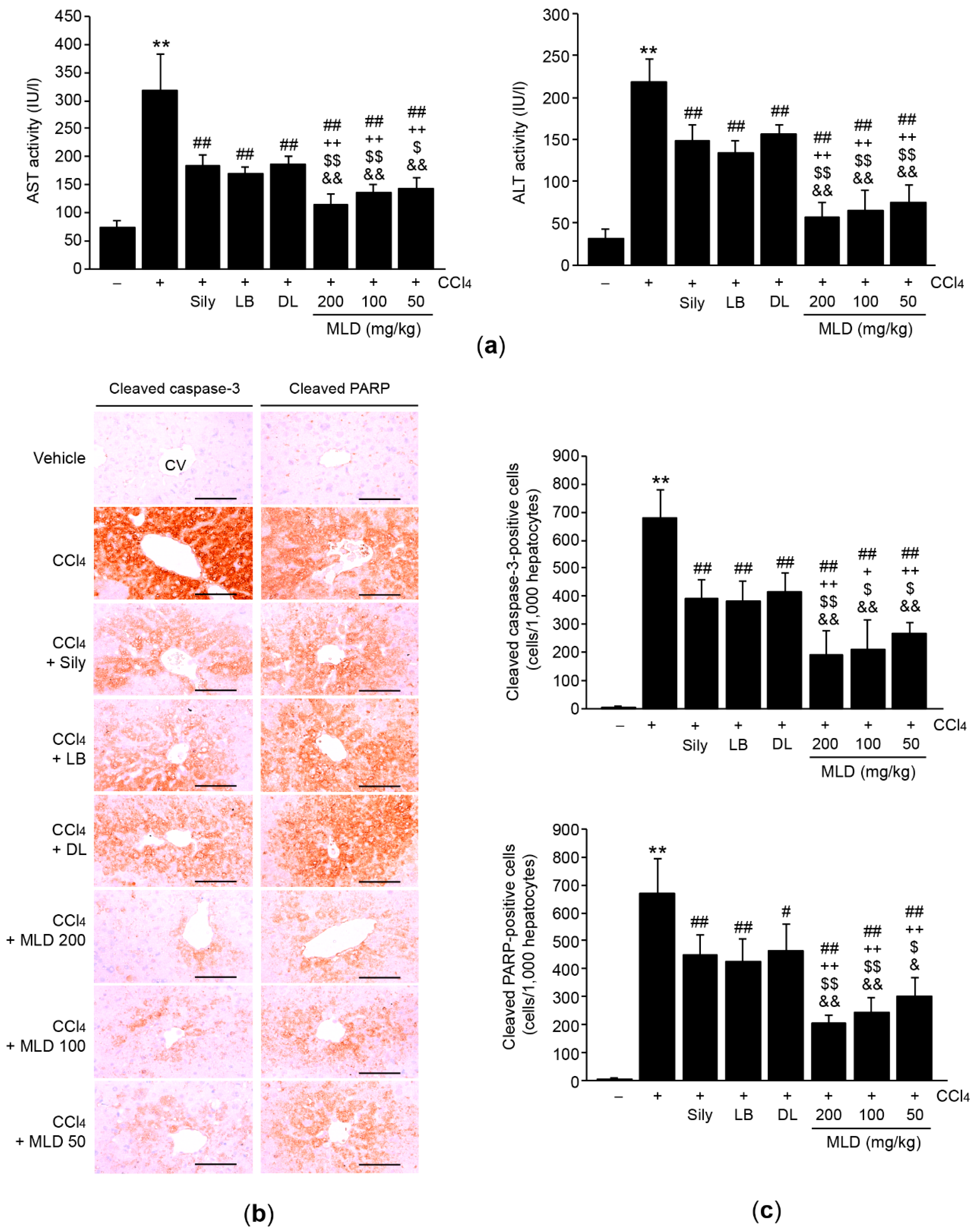 Applsci 11 00390 g003