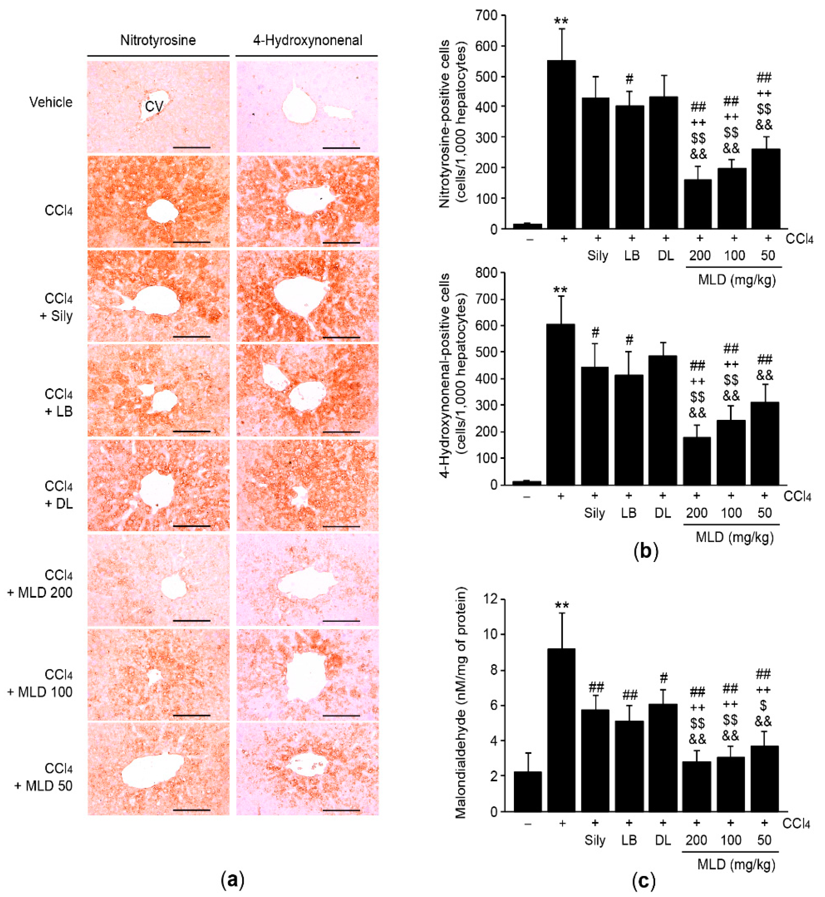 Applsci 11 00390 g004