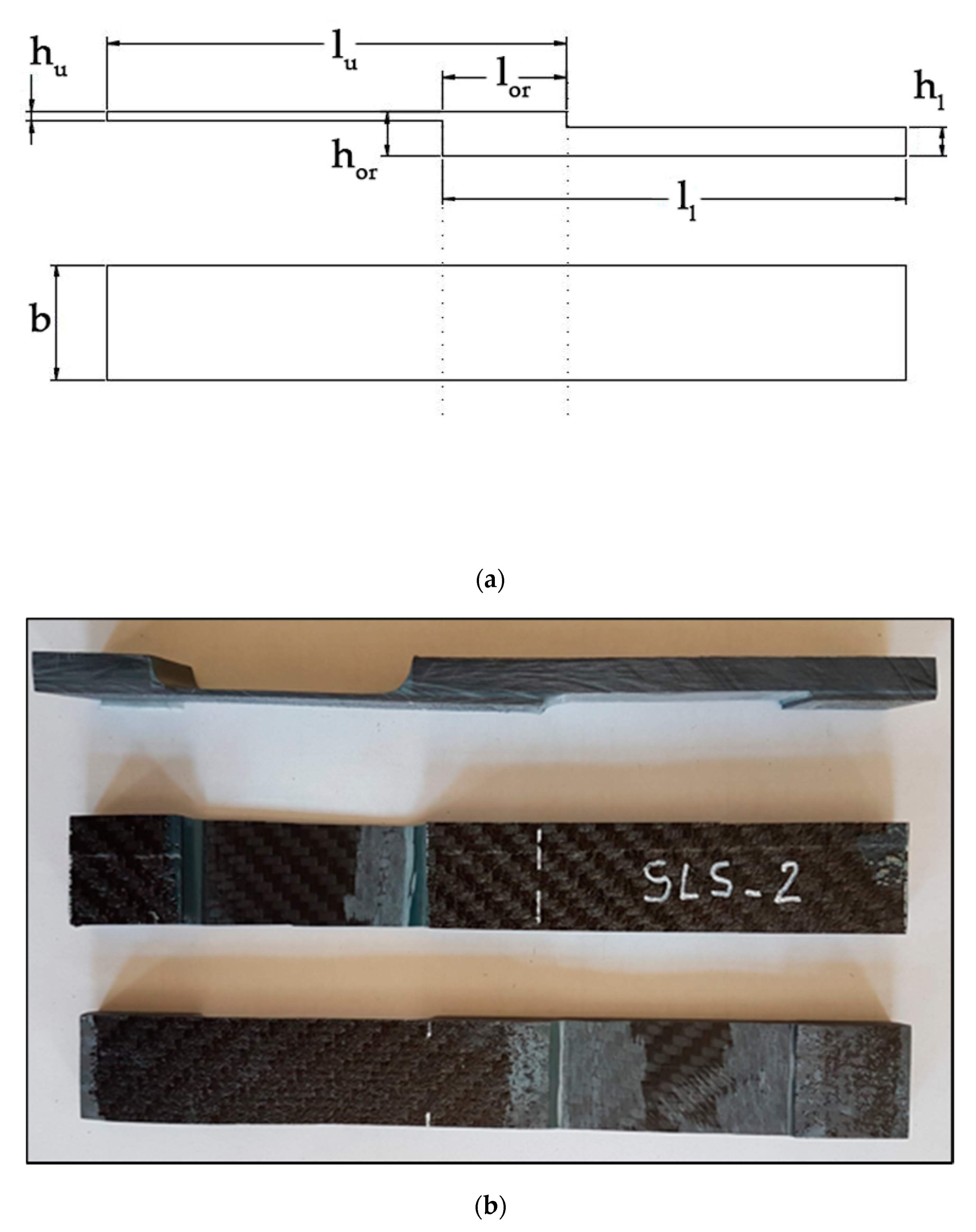 Applsci 11 00393 g001 Applsci 11 00393 g001
