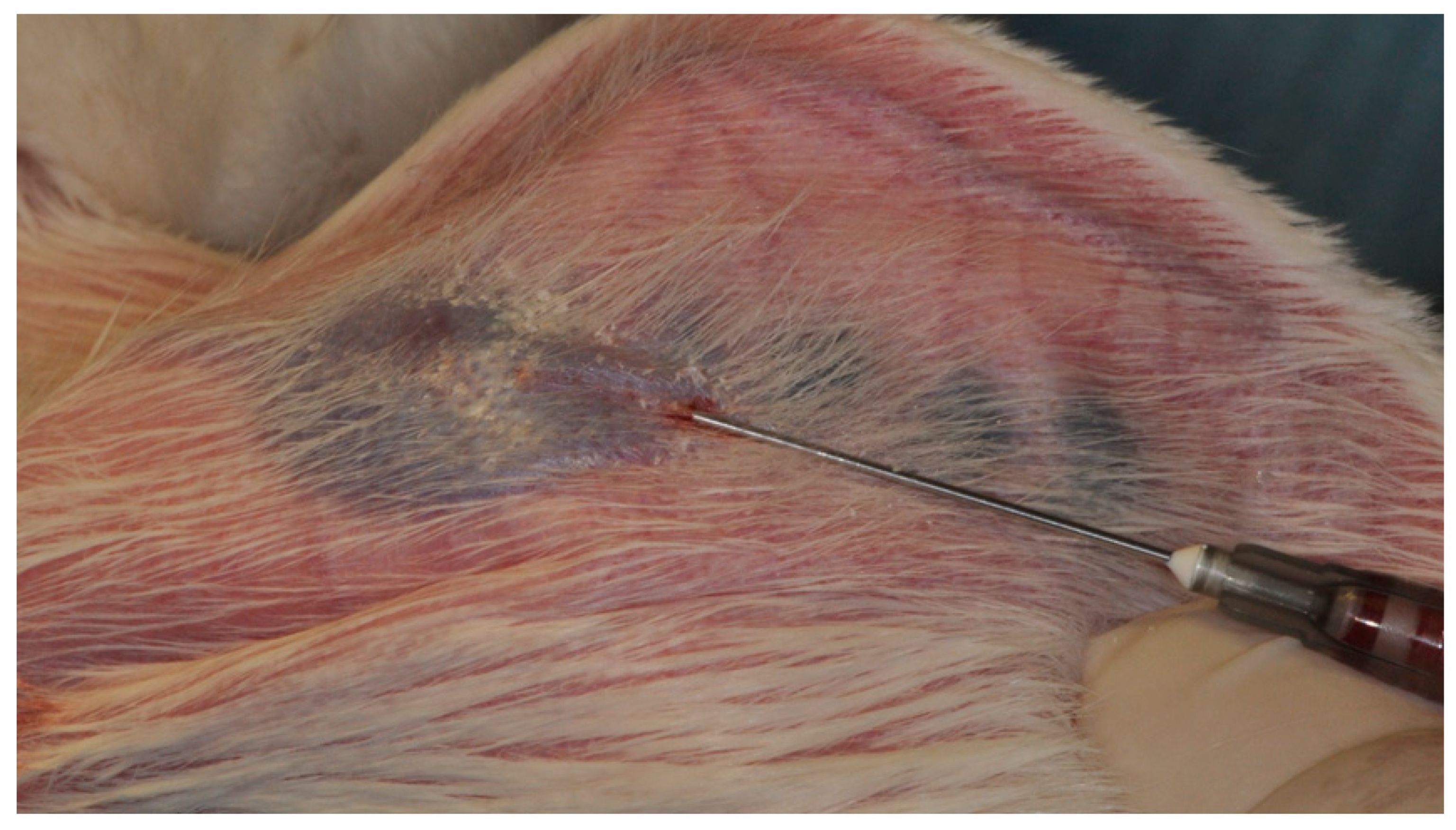 Applsci 11 00395 g002 Applsci 11 00395 g002