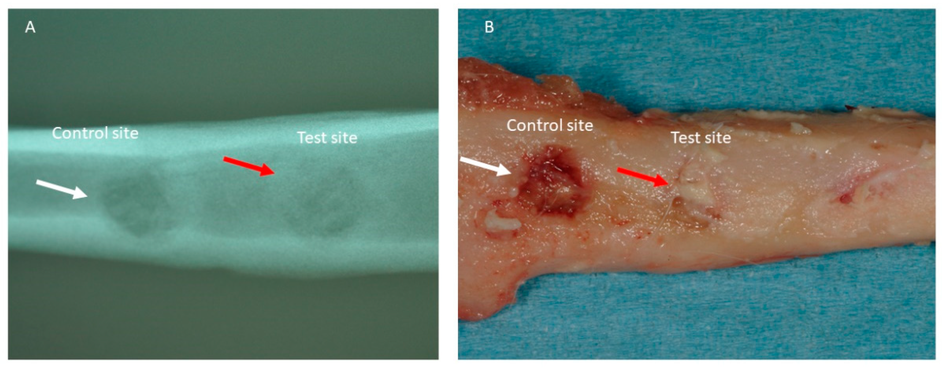 Applsci 11 00395 g003 Applsci 11 00395 g003