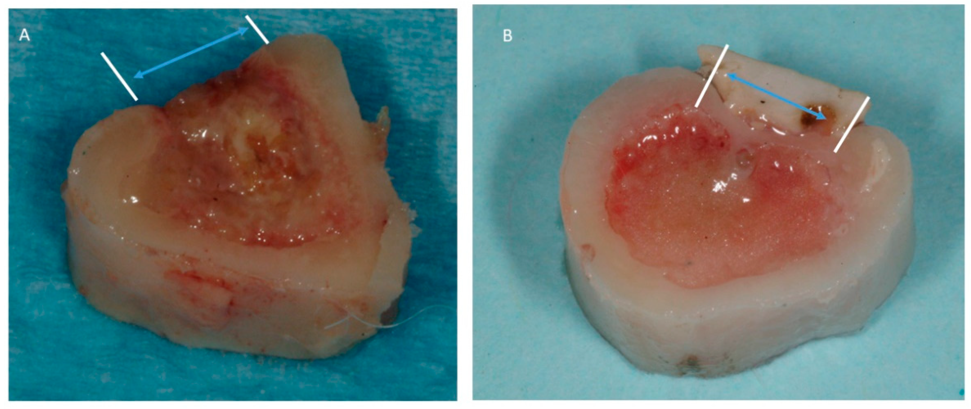 Applsci 11 00395 g004 Applsci 11 00395 g004