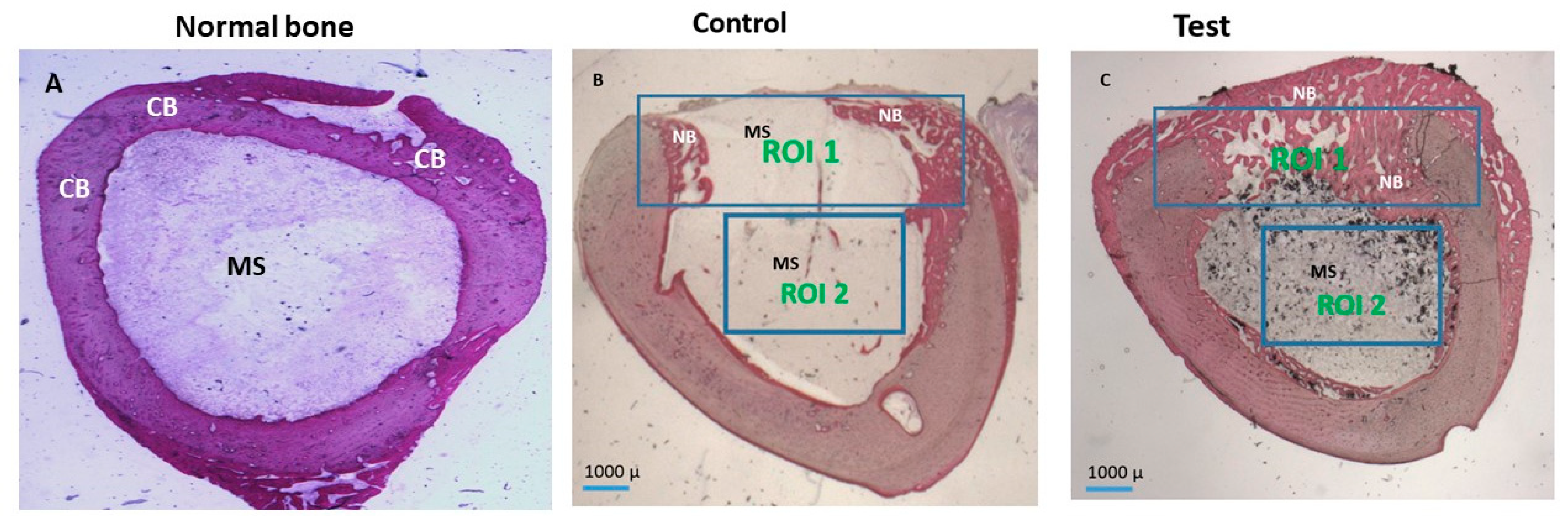 Applsci 11 00395 g005 Applsci 11 00395 g005