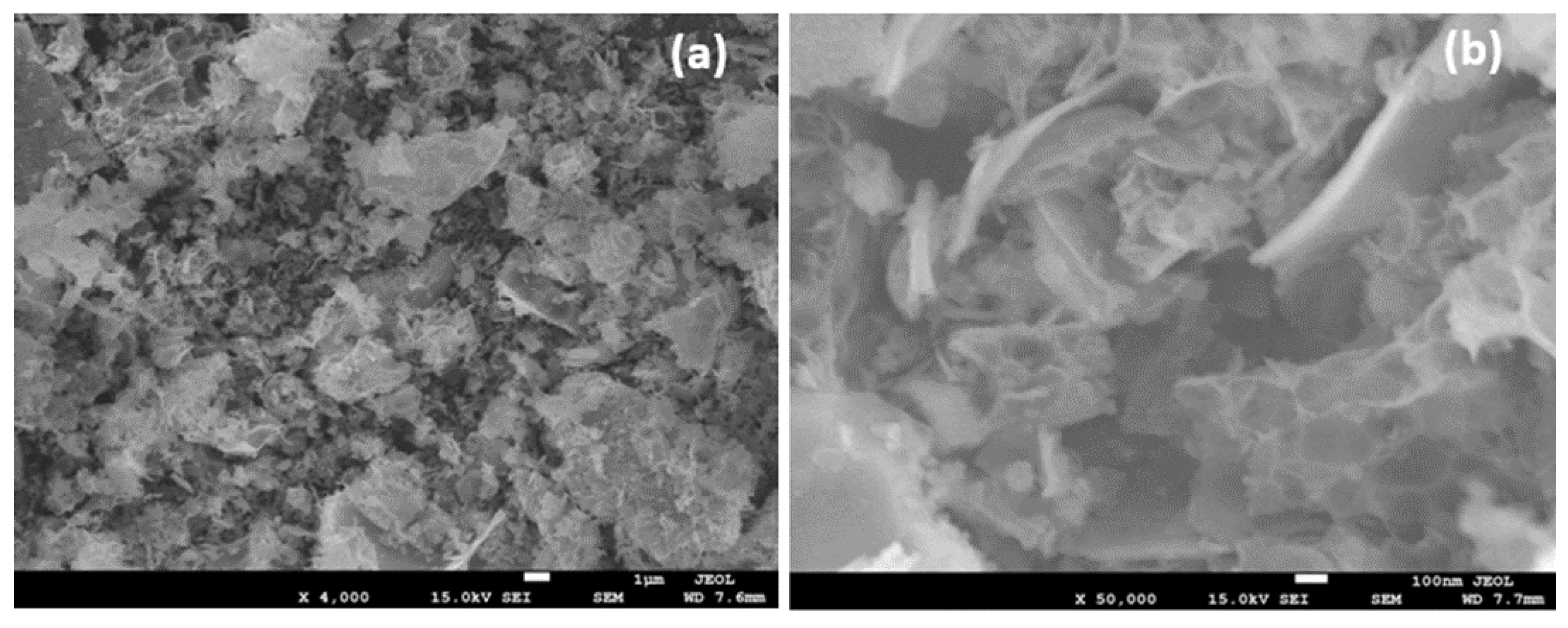 Applsci 11 00411 g003