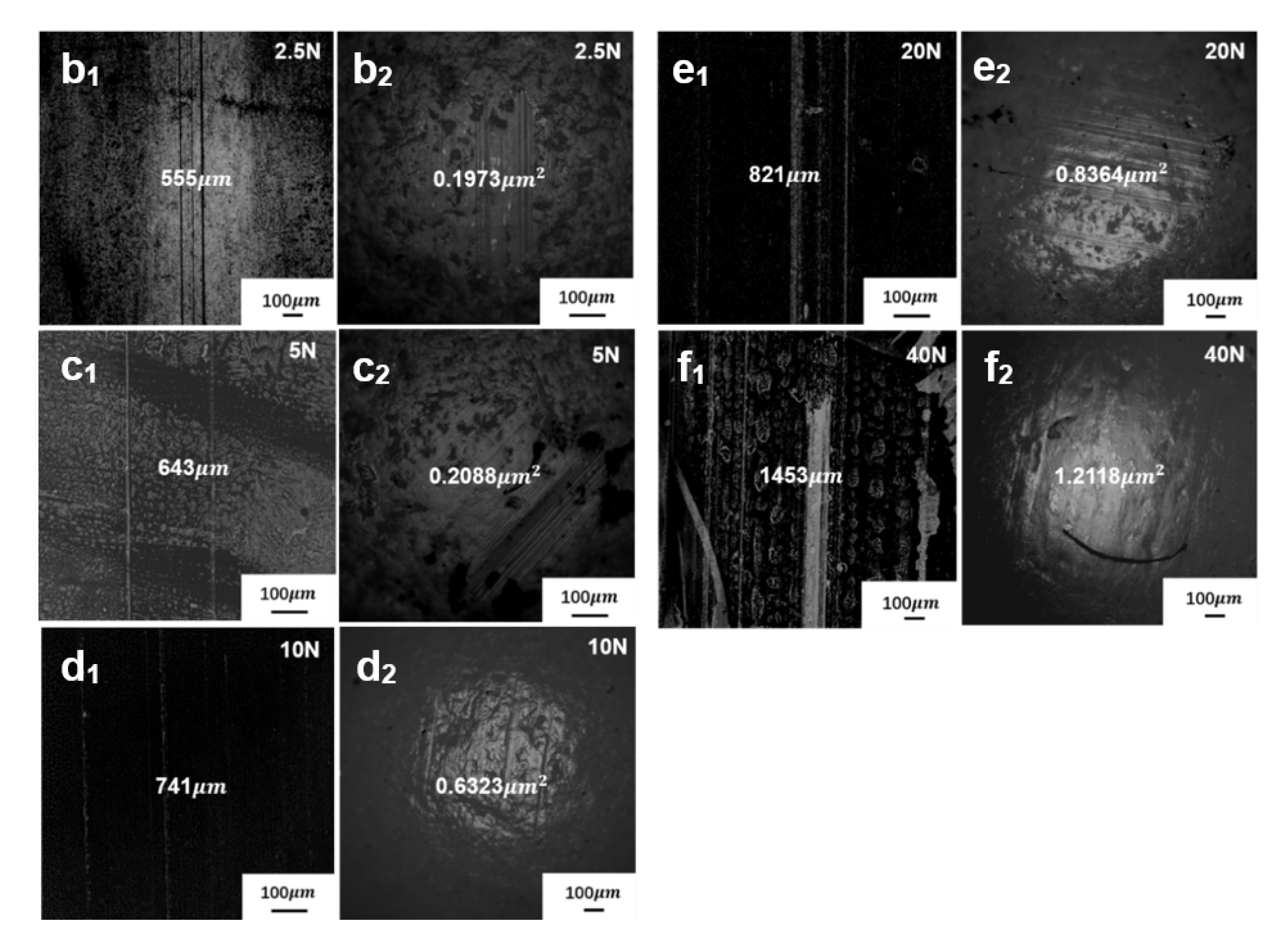 Applsci 11 00416 g009b Applsci 11 00416 g009b