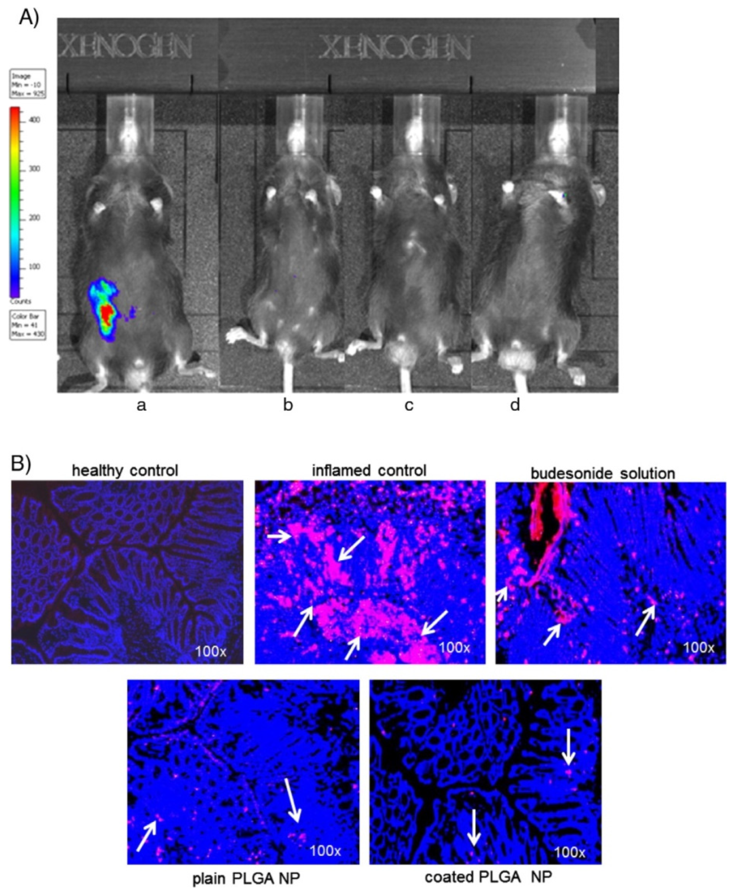 Applsci 11 00438 g003