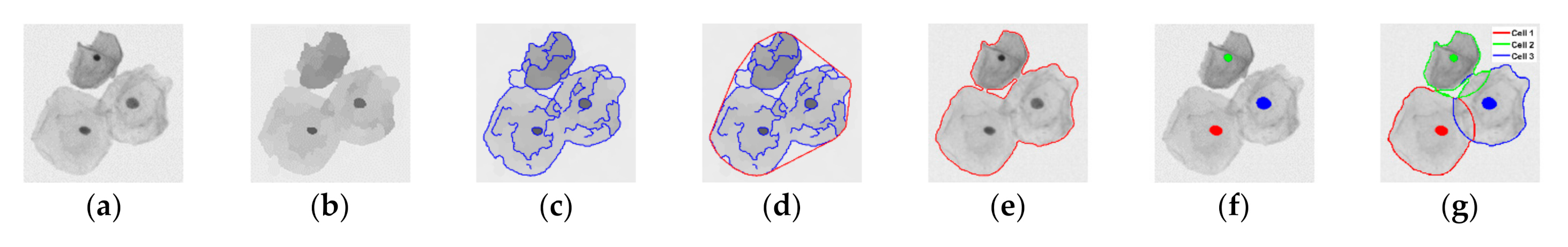 Applsci 11 00443 g002 Applsci 11 00443 g002