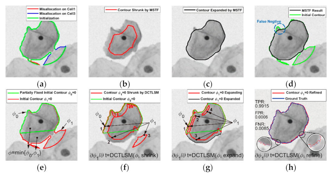 Applsci 11 00443 g003 Applsci 11 00443 g003