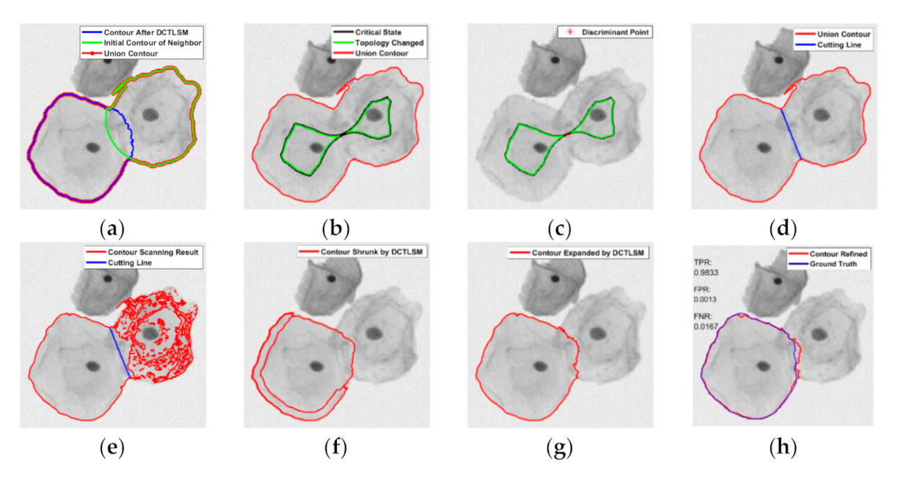 Applsci 11 00443 g005 Applsci 11 00443 g005