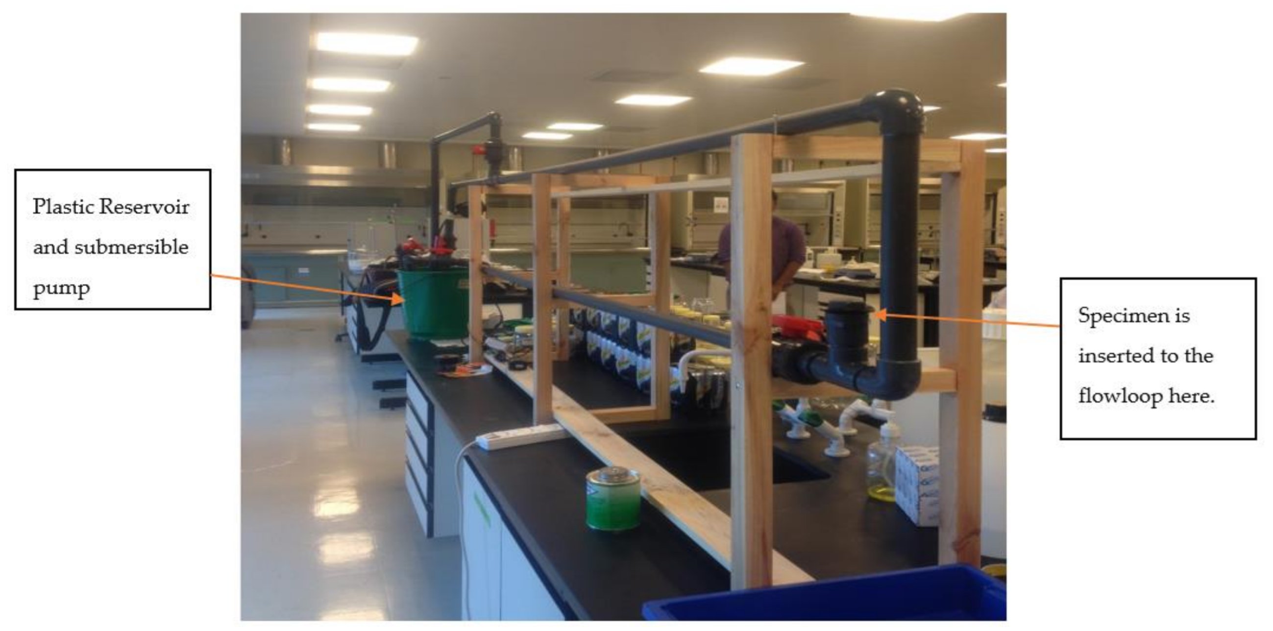 Applsci 11 00444 g004 550