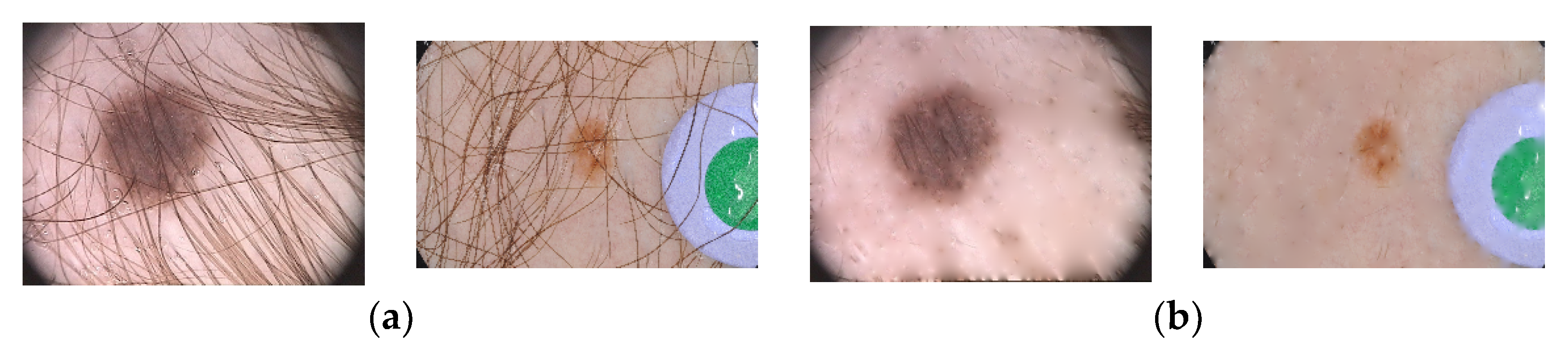 Applsci 11 00447 g001 Applsci 11 00447 g001