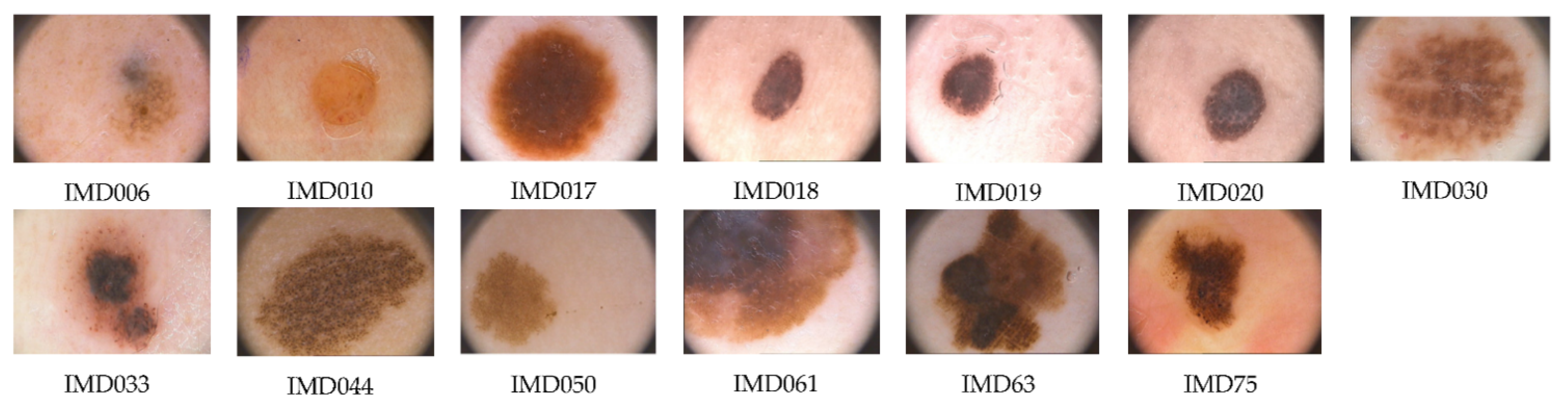 Applsci 11 00447 g004 Applsci 11 00447 g004