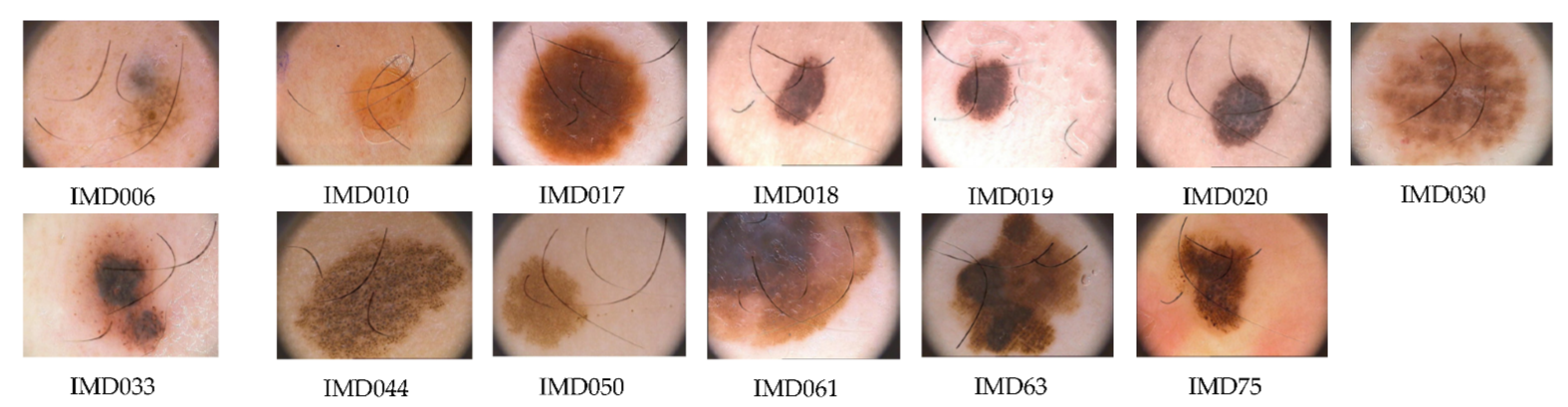 Applsci 11 00447 g005 Applsci 11 00447 g005