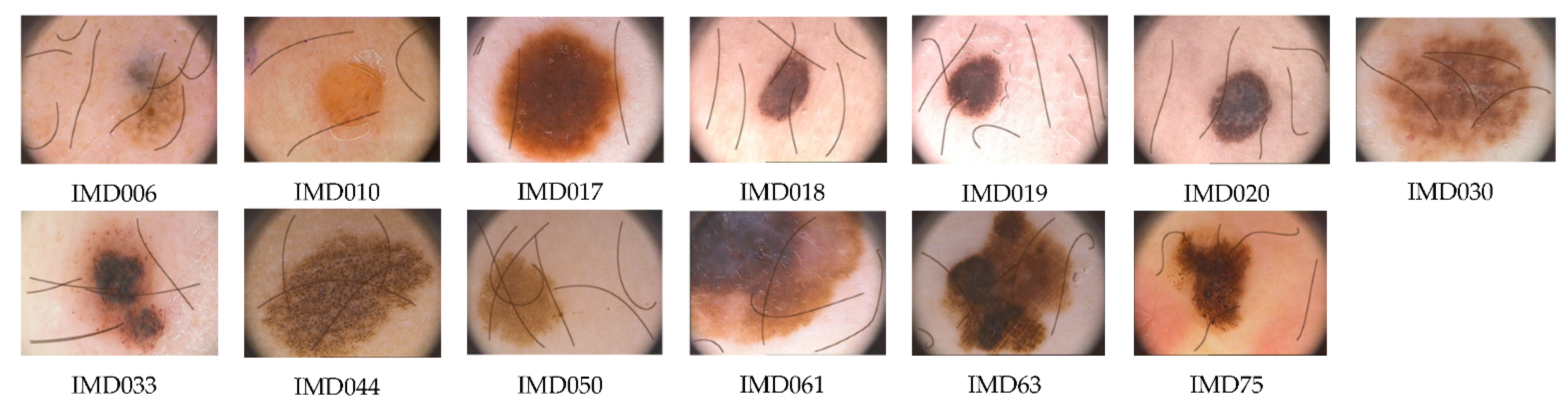 Applsci 11 00447 g006 Applsci 11 00447 g006