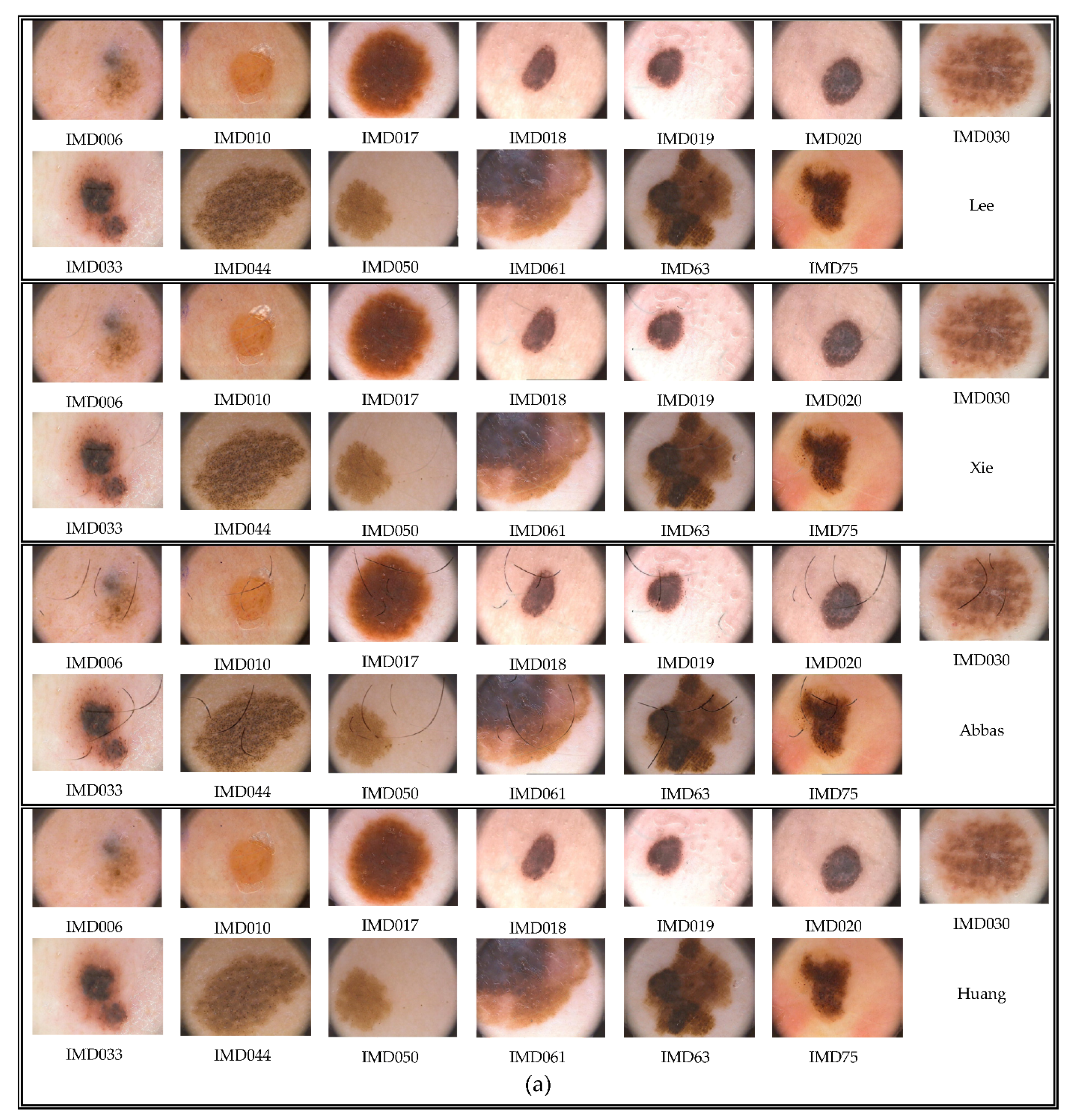 Applsci 11 00447 g010a Applsci 11 00447 g010a