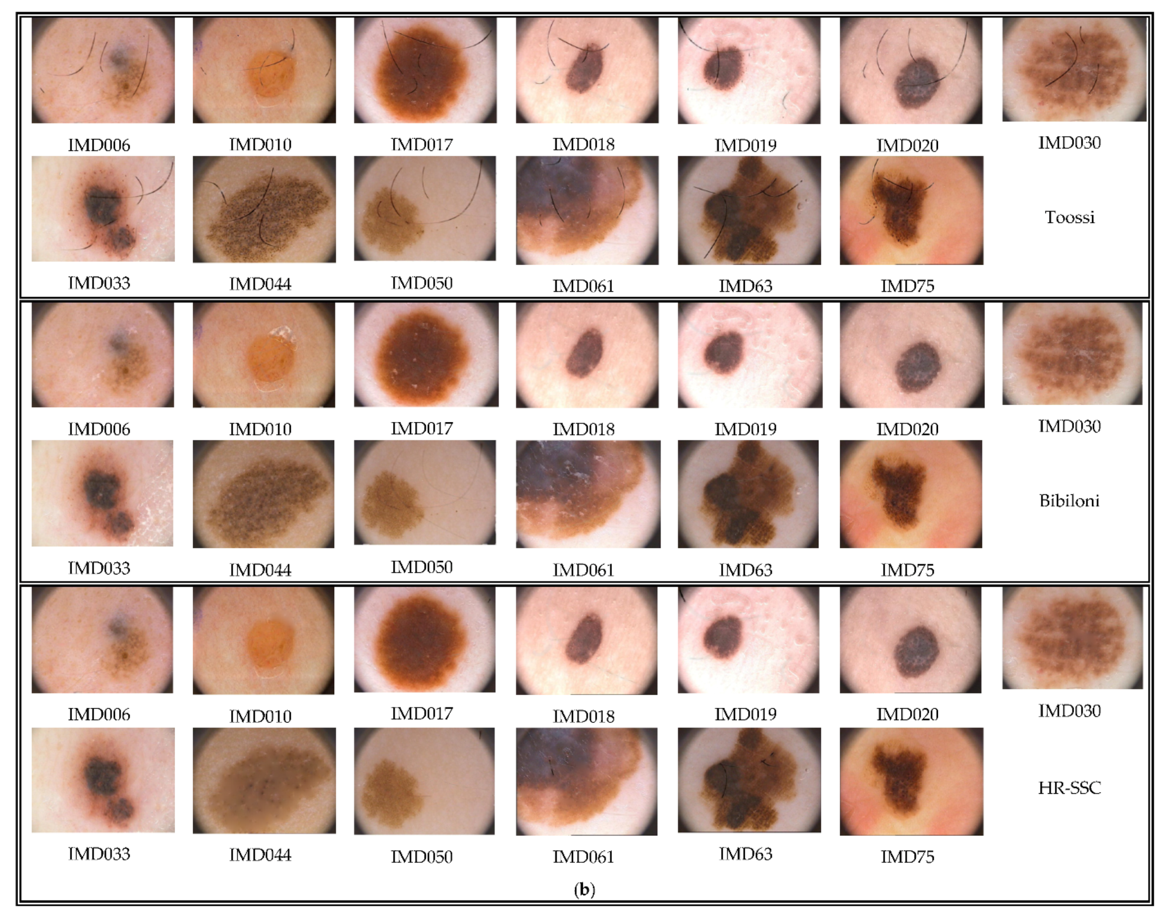 Applsci 11 00447 g010b Applsci 11 00447 g010b