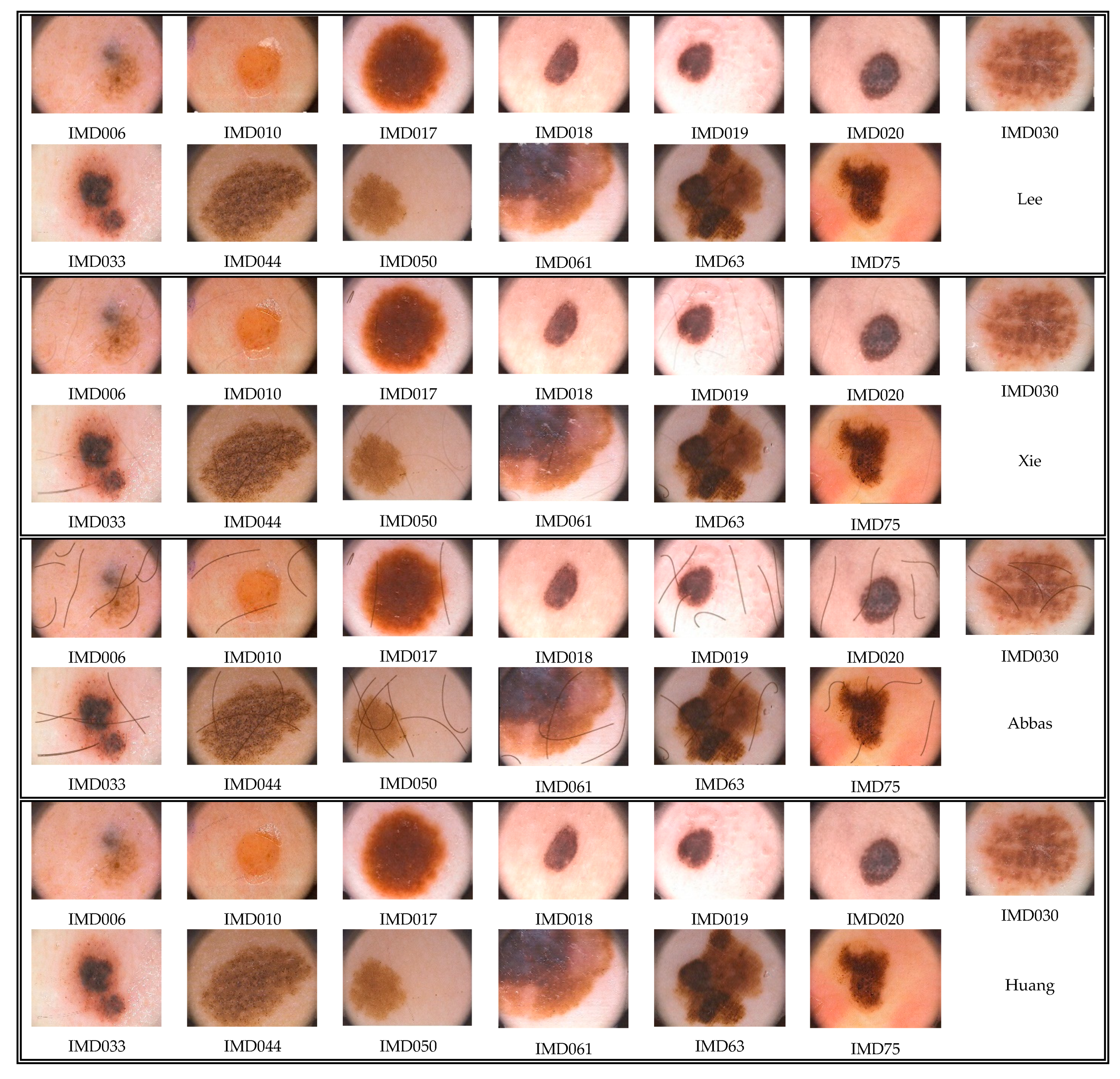 Applsci 11 00447 g011a Applsci 11 00447 g011a