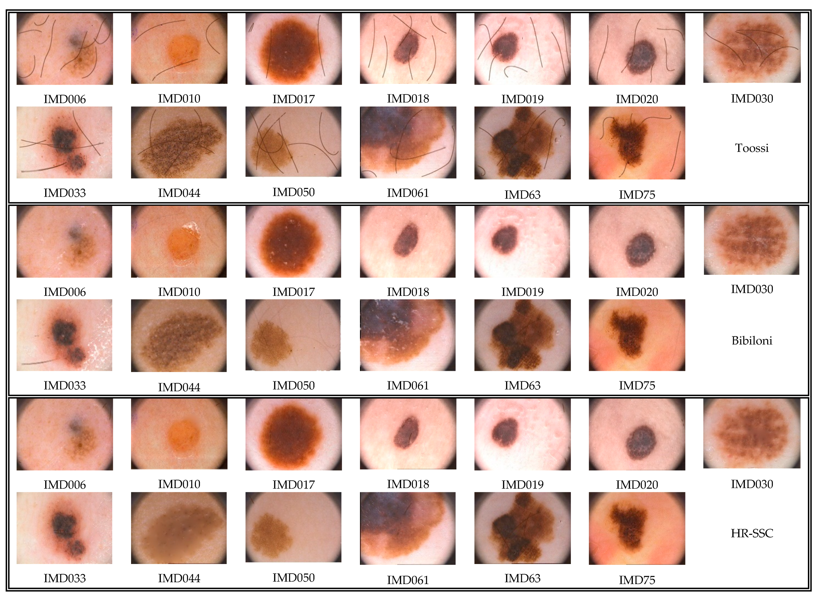 Applsci 11 00447 g011b Applsci 11 00447 g011b